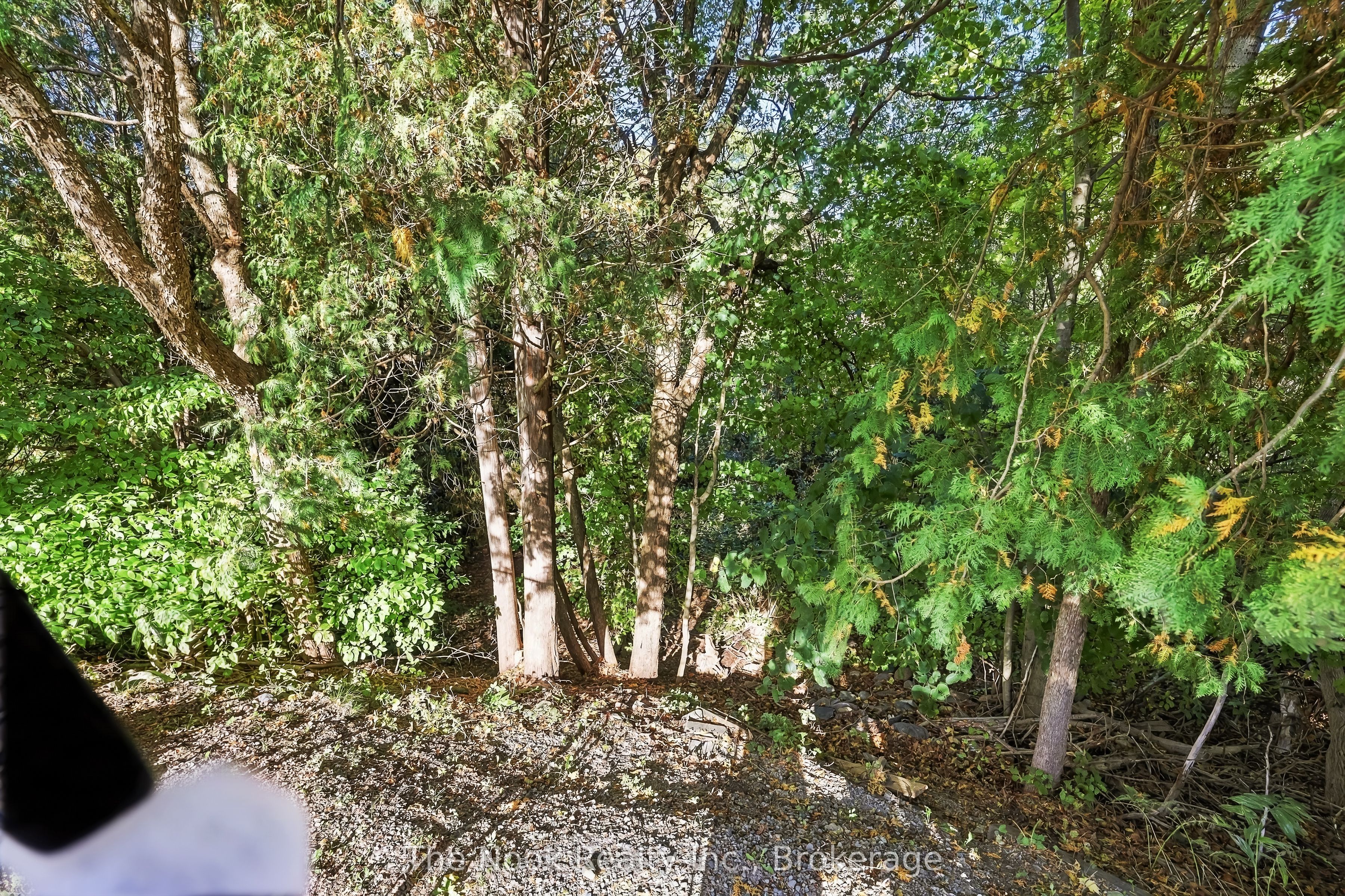 293 Brighton Court Property Photo 46