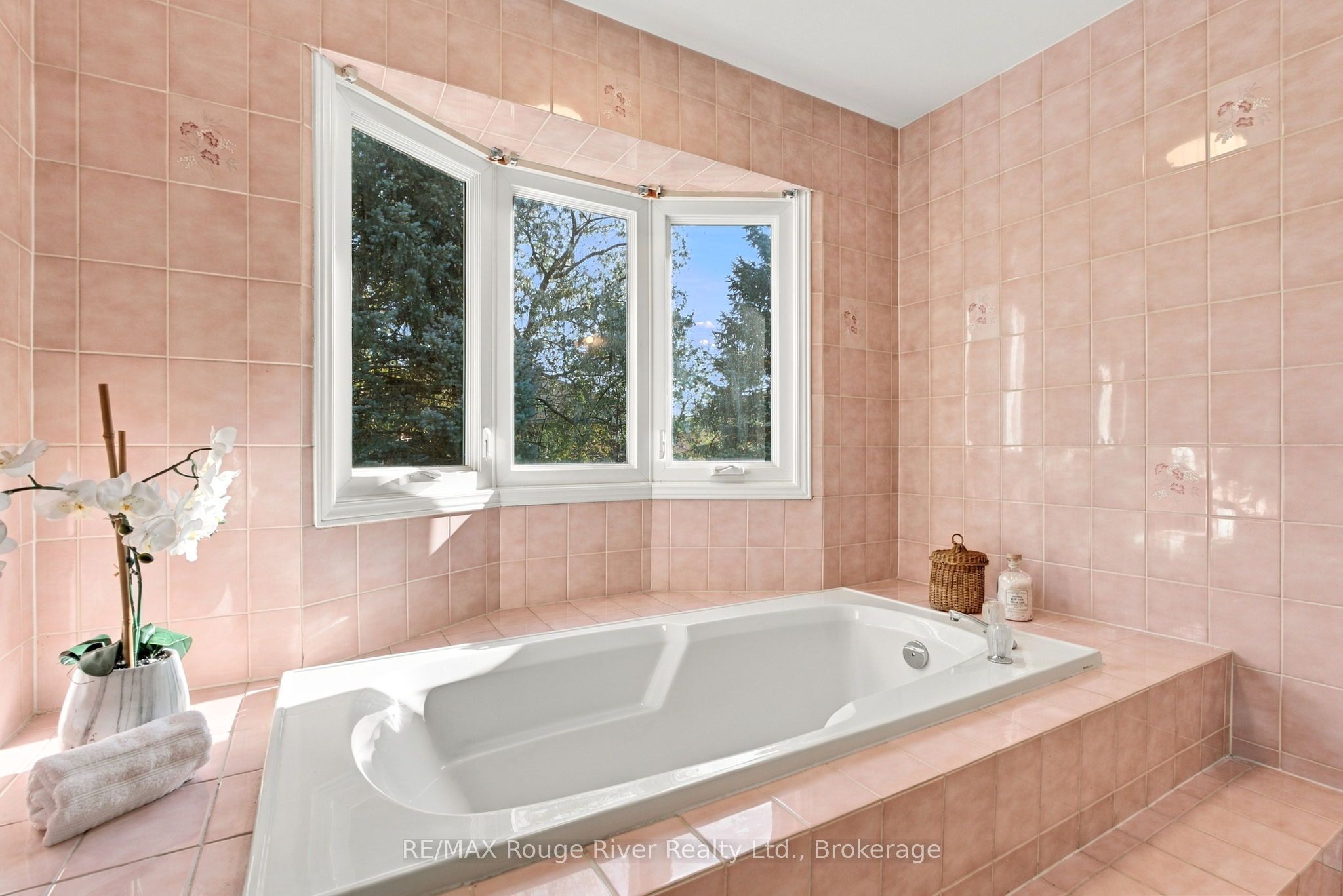 51 Lofthouse Drive Property Photo 27