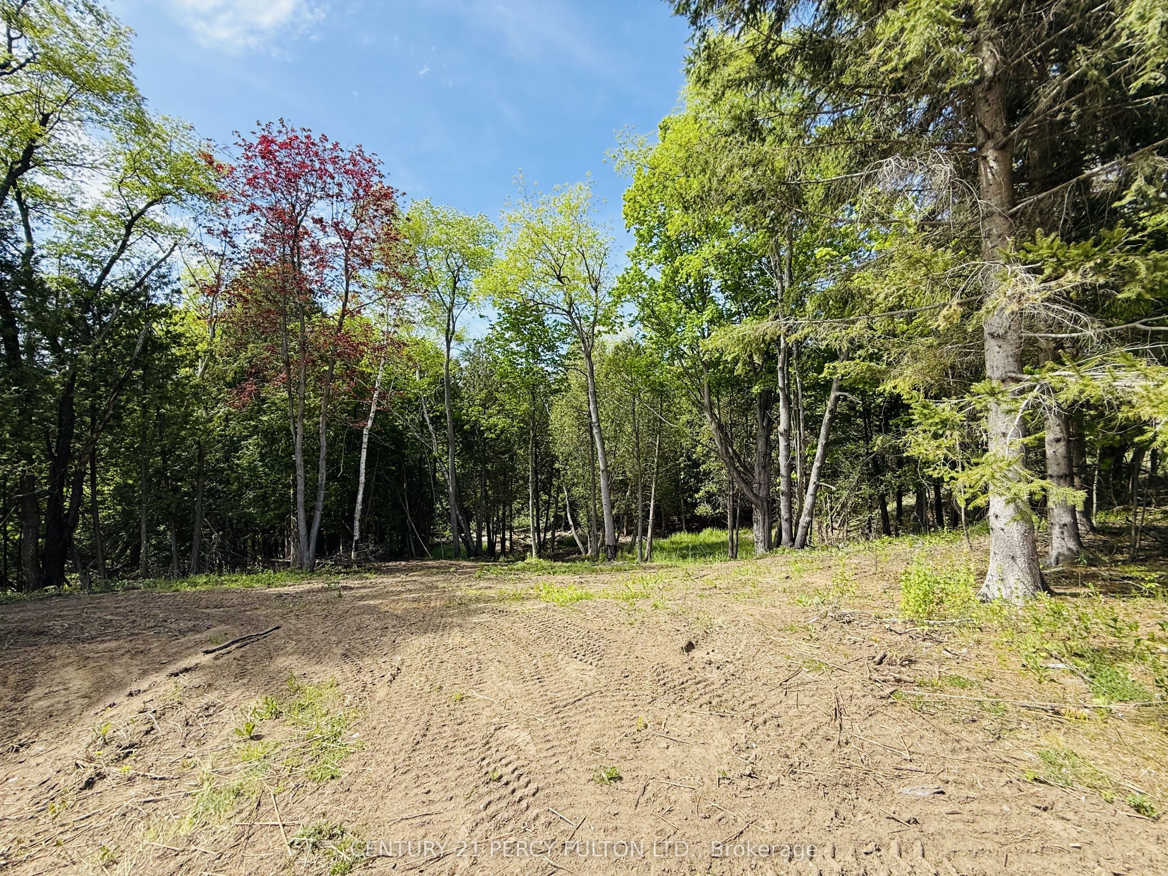 470 Lyndebrook Road Property Photo 9