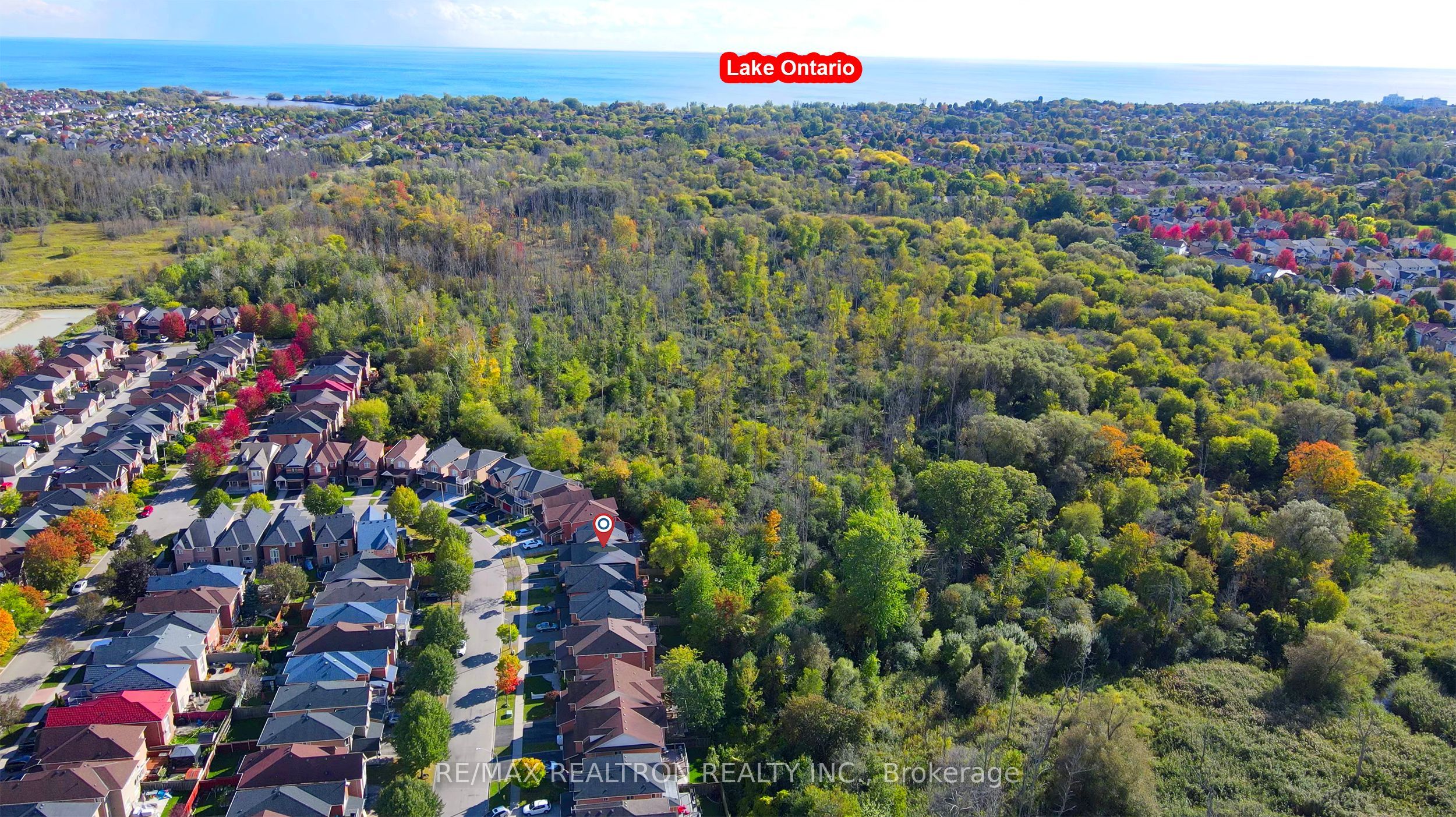 80 Marjoram Drive Property Photo 45