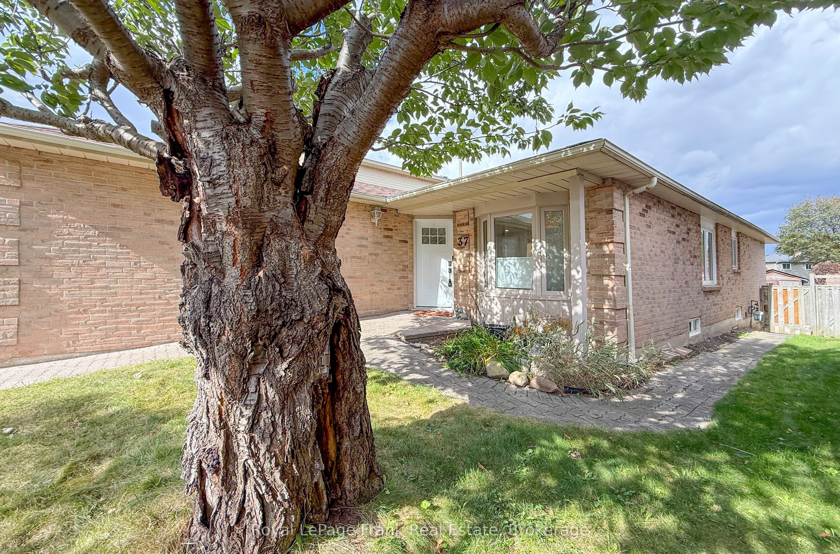37 Angus Drive Property Photo 4
