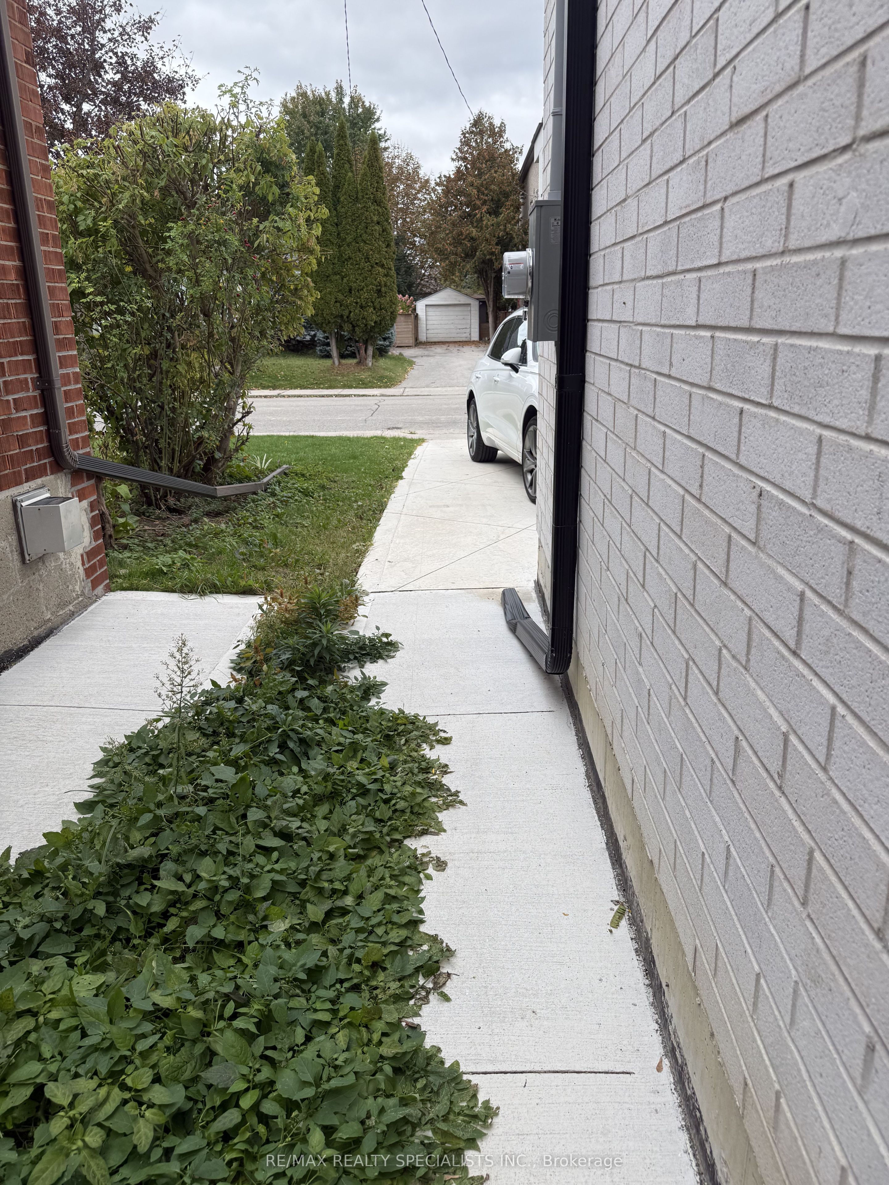 65 Bexhill Avenue Basement Property Photo 4