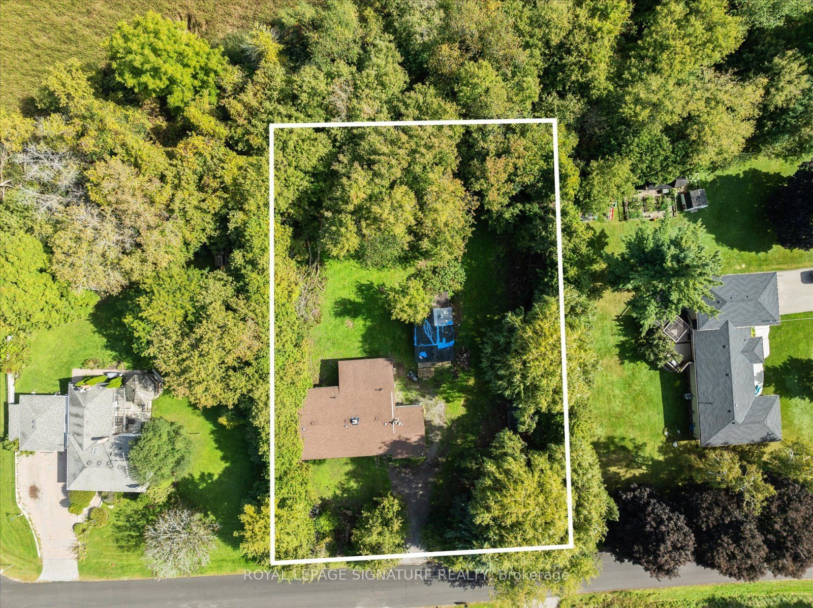 45 Queens Road Property Photo 13