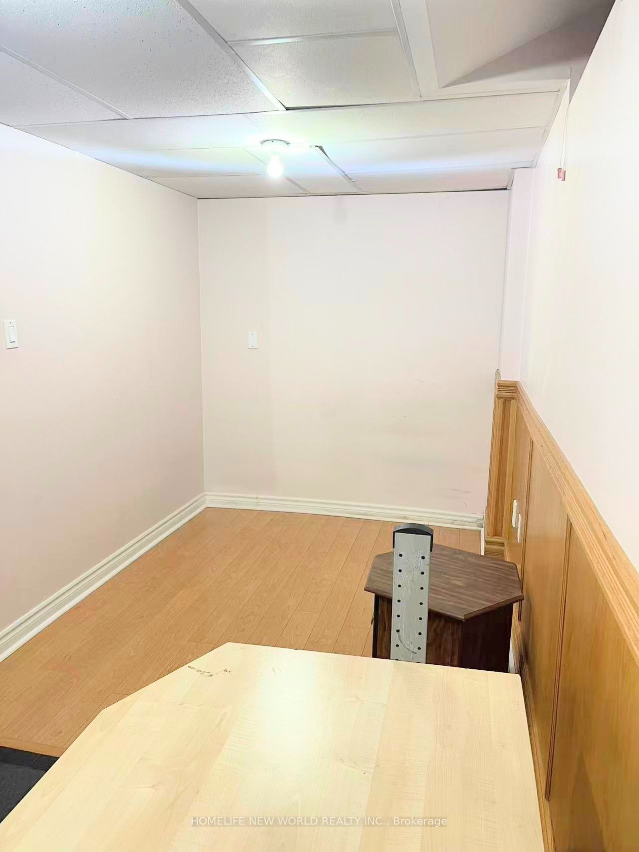 308 Goldhawk Trail Basement Property Photo 9