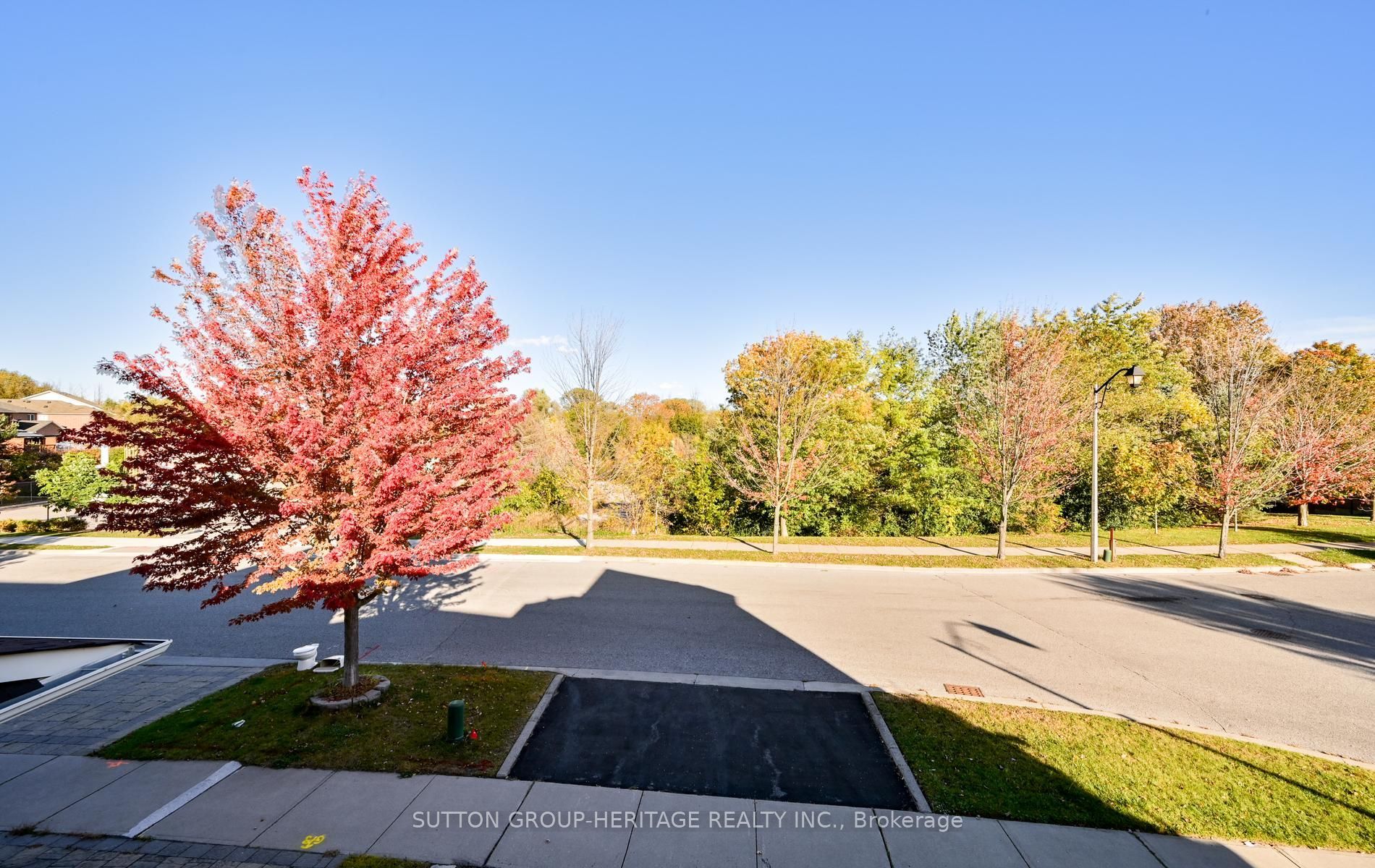 2 Beadle Drive Property Photo 30