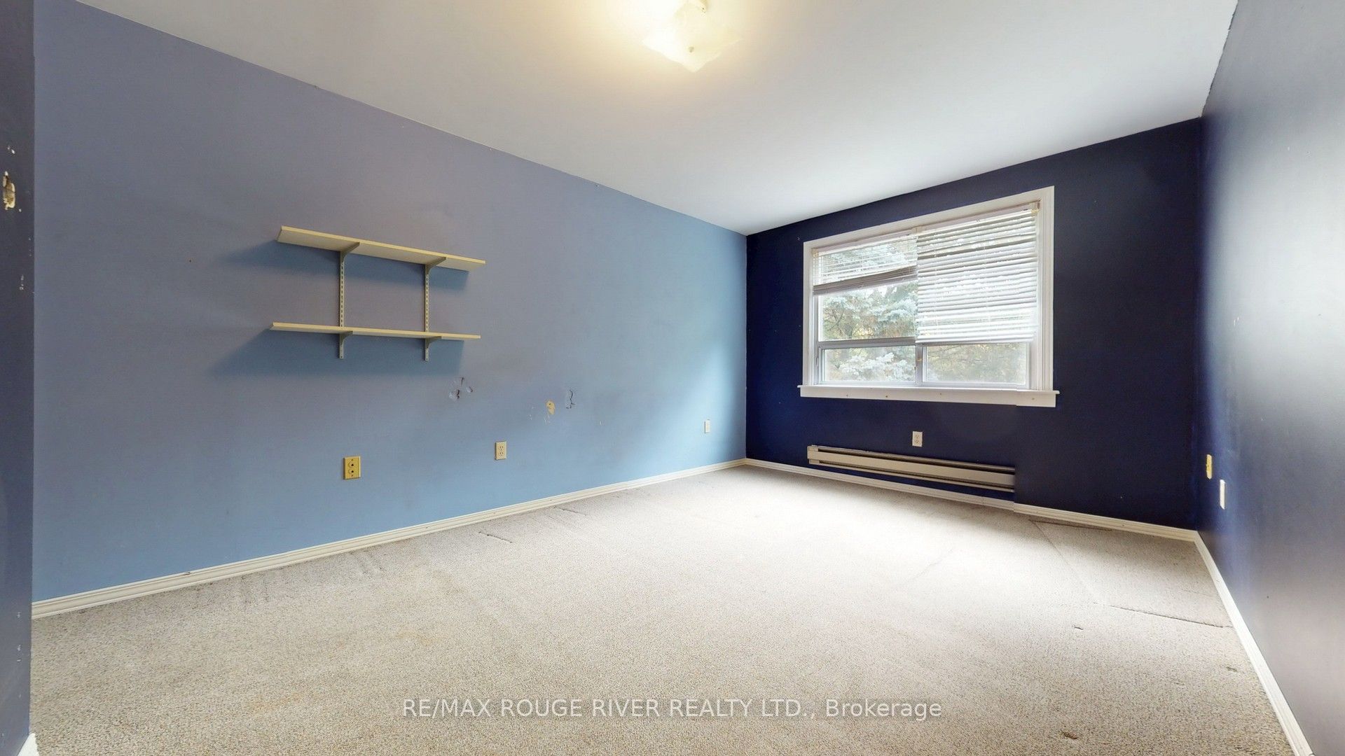 37 Acland Crescent Property Photo 27