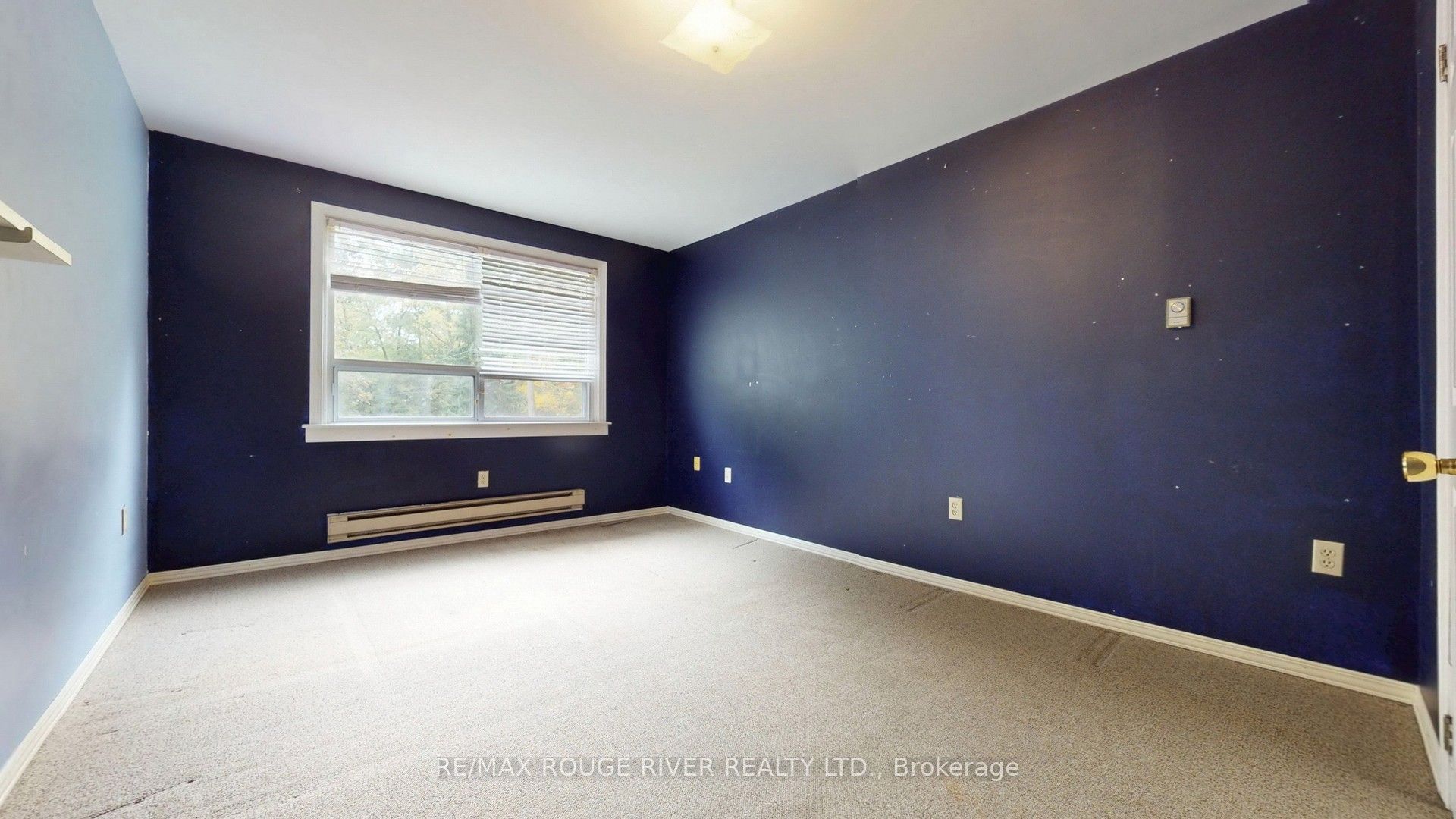 37 Acland Crescent Property Photo 28