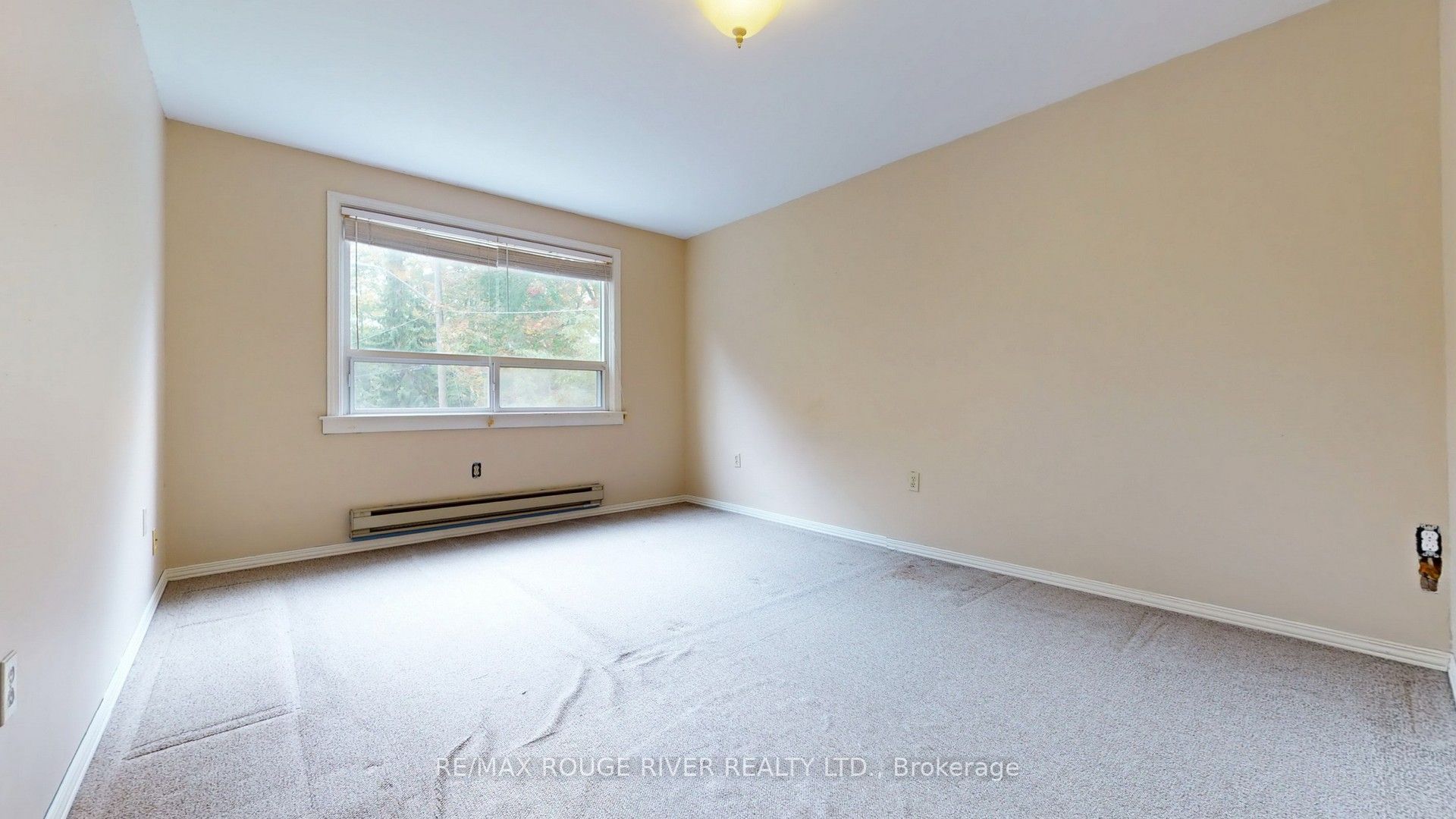 37 Acland Crescent Property Photo 30