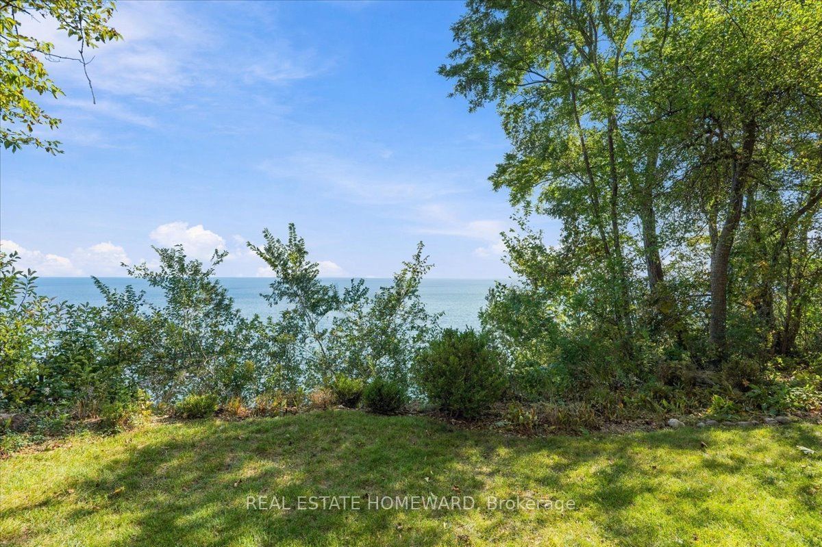 35 Springbank Avenue Property Photo 8