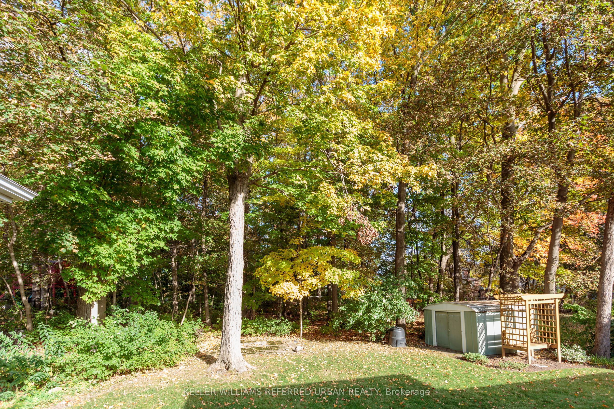 71 Agincourt Drive Property Photo 22