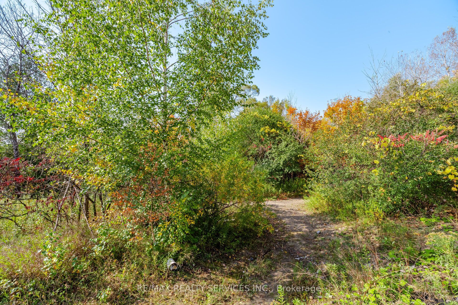 1221 Jim Brewster Circle Property Photo 49