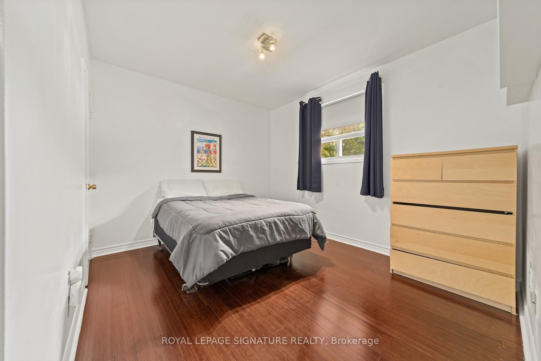 4 Moss Street Property Photo 13