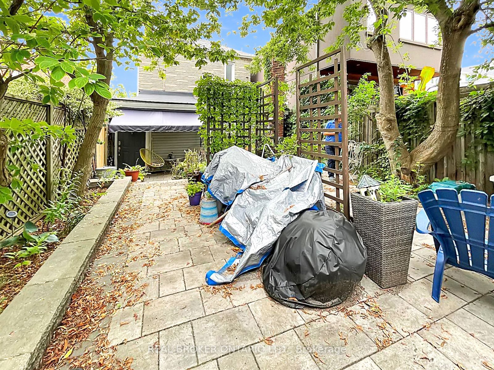 79 Blantyre Avenue Upper Property Photo 18