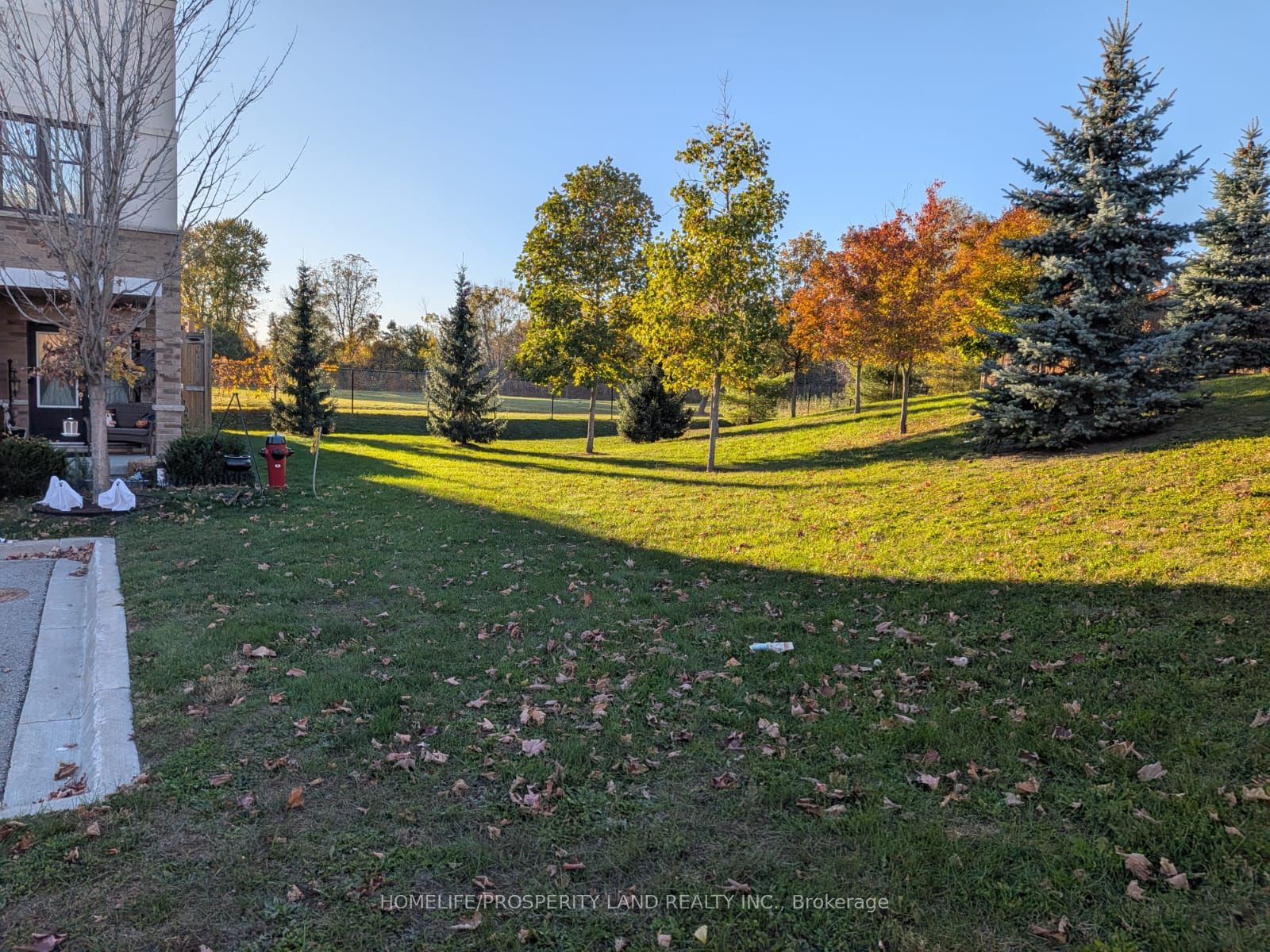 64 Jerseyville Way Property Photo 8