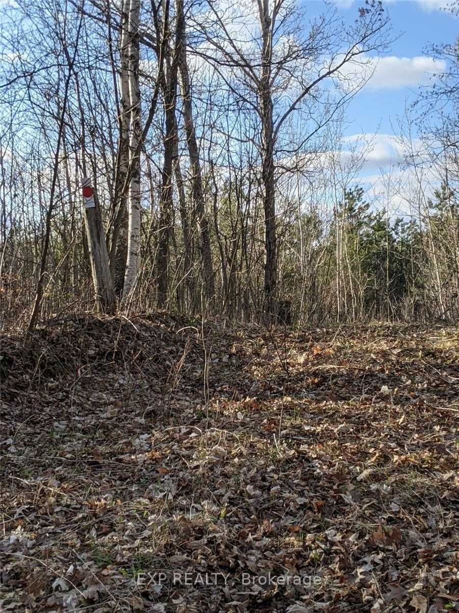3674 Skelding Rd Property Photo 2