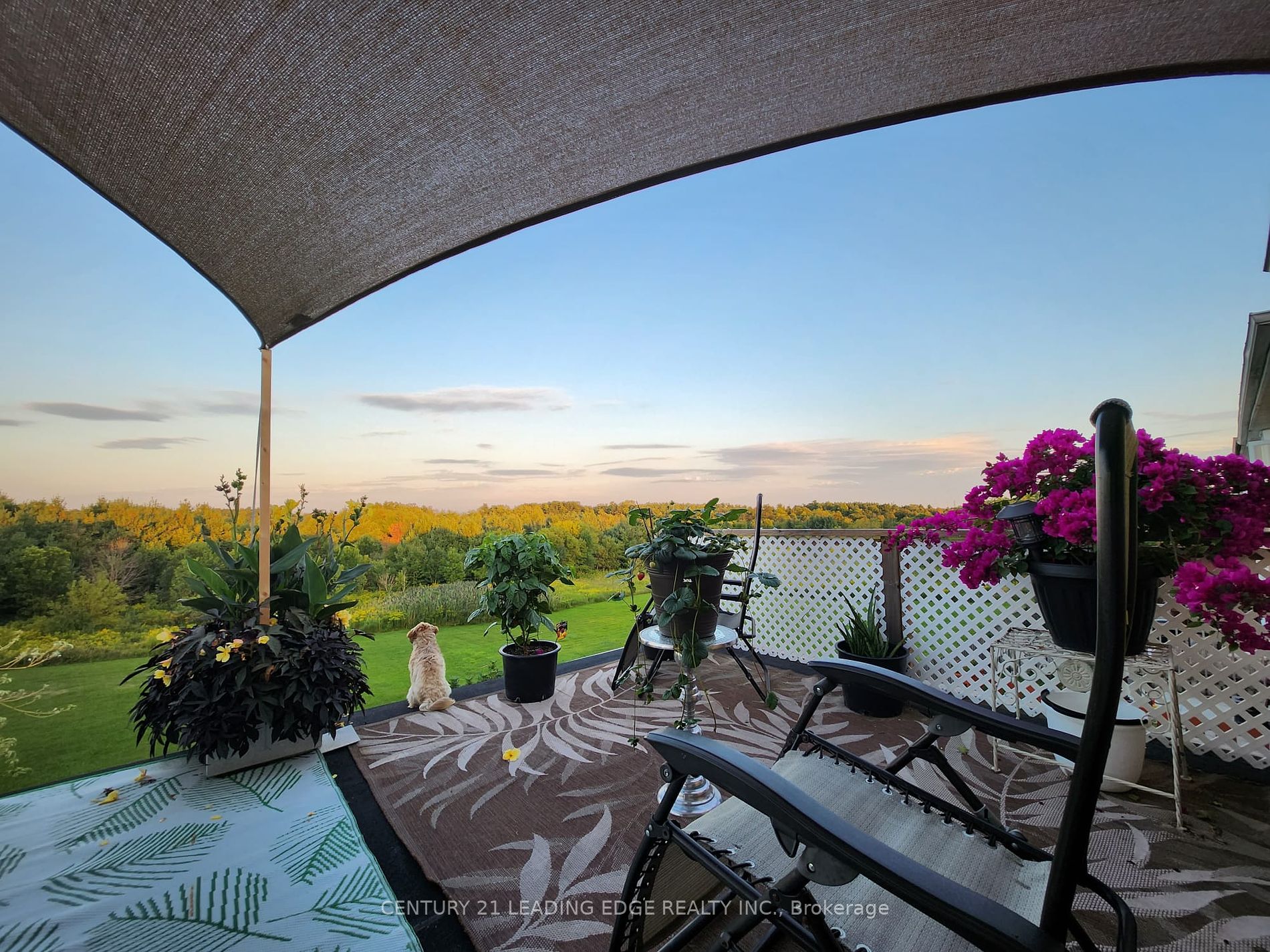 129 Morningview Tr Property Photo 5