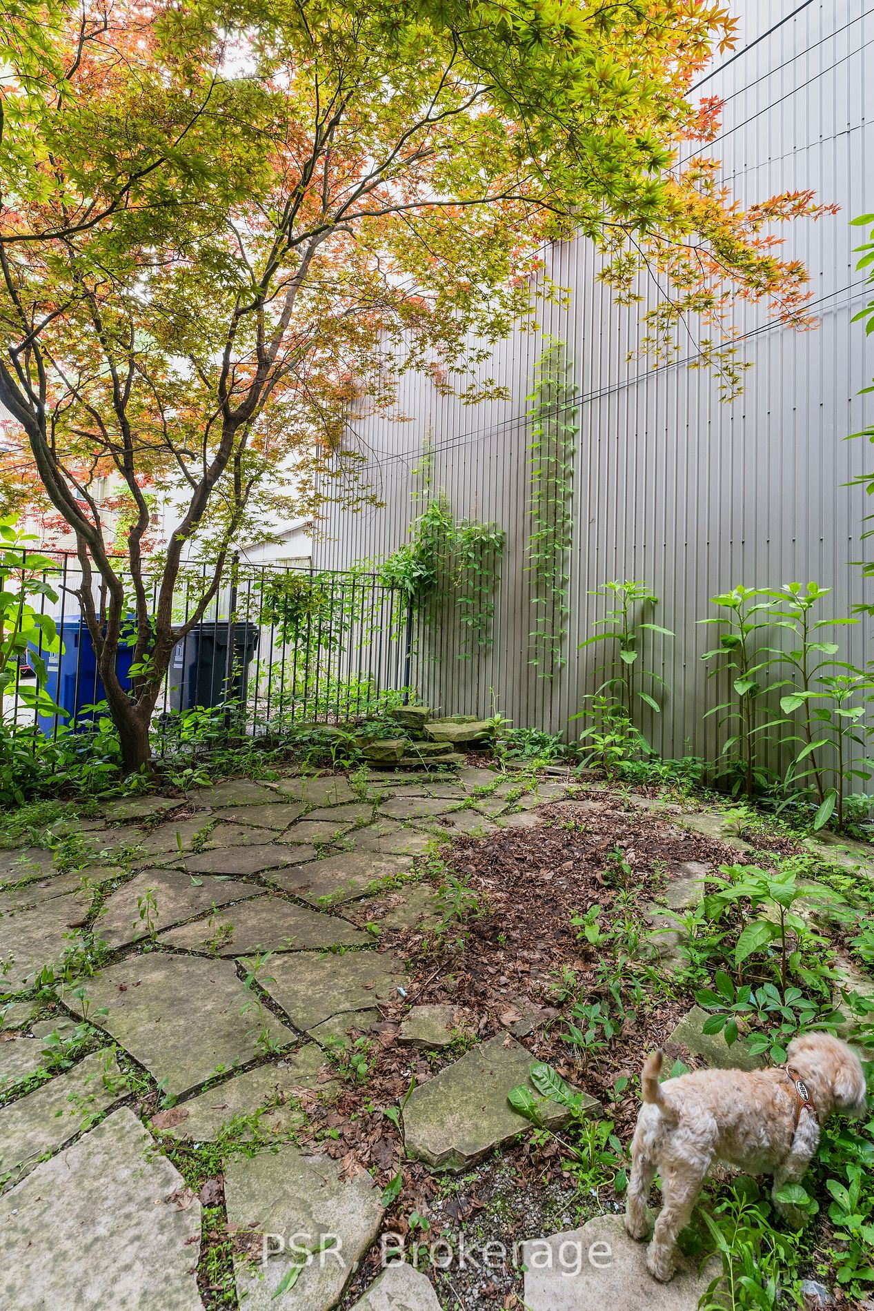 745 Queen St E Property Photo 15
