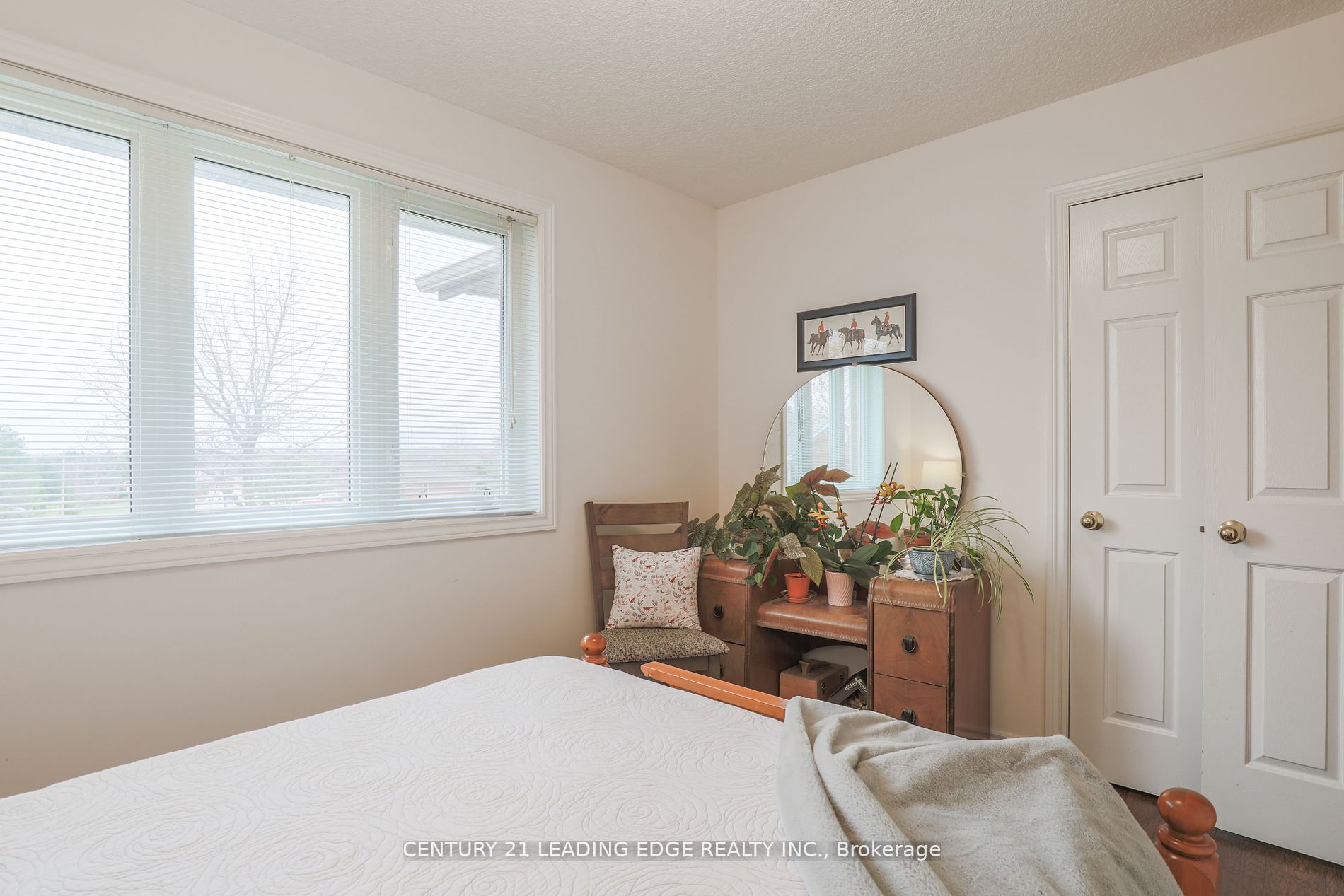 15 Pardo Crt Property Photo 18