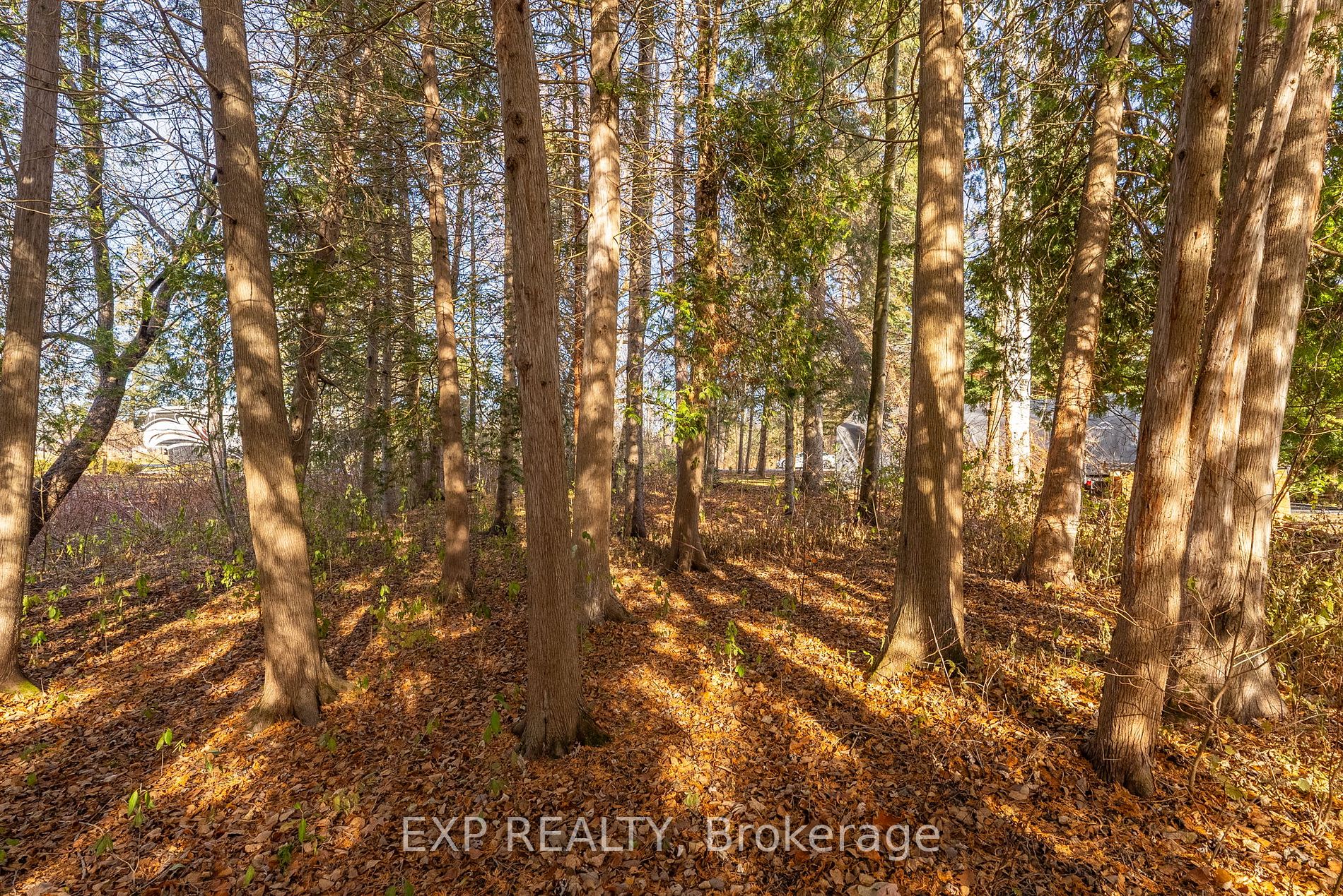 88 Davidge Dr Property Photo 29