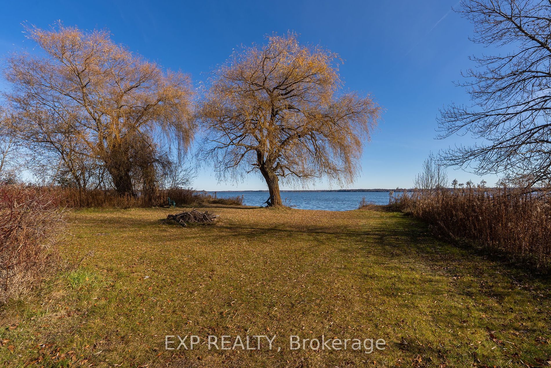 88 Davidge Dr Property Photo 35