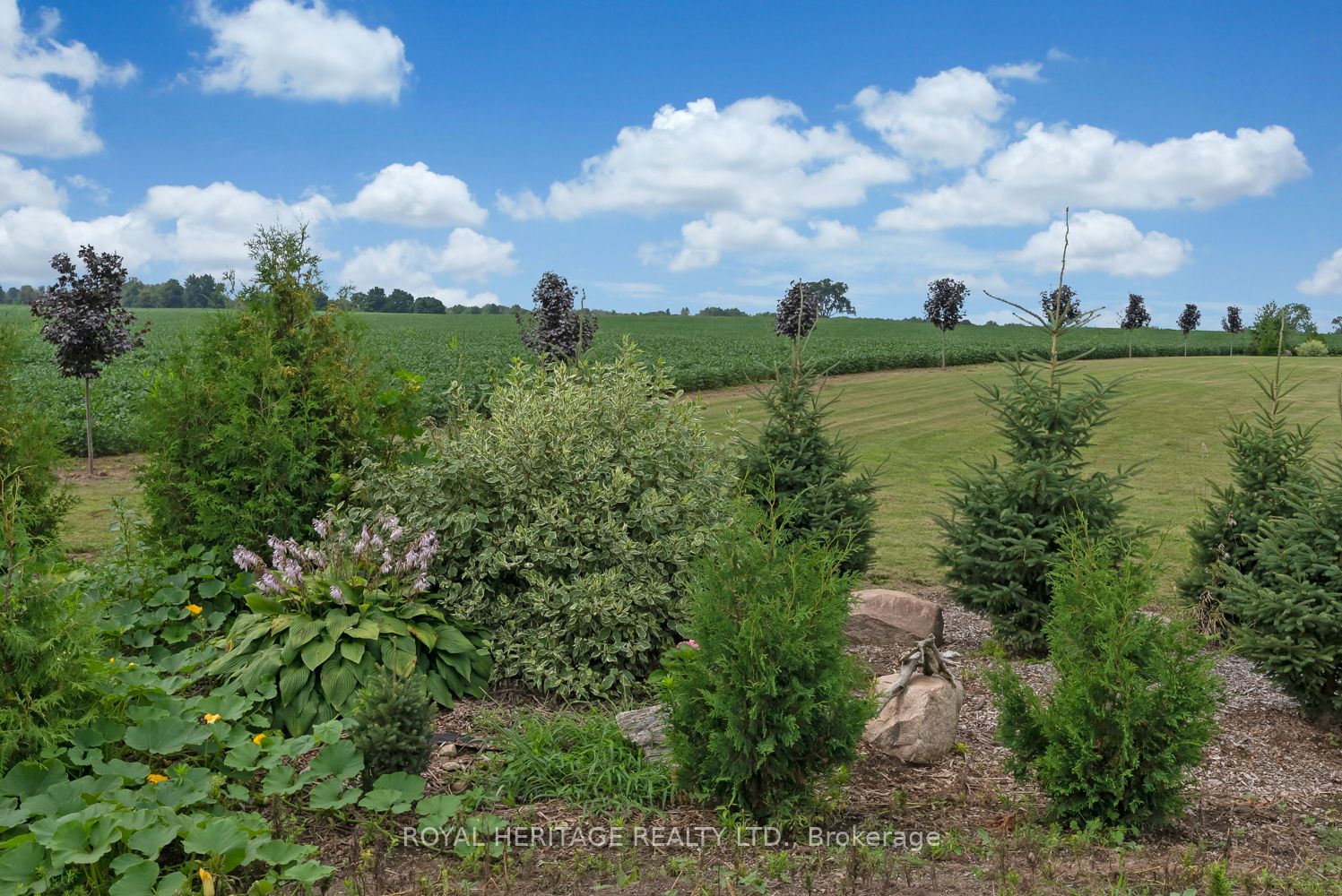 4895 Concession 3 Rd Property Photo 11