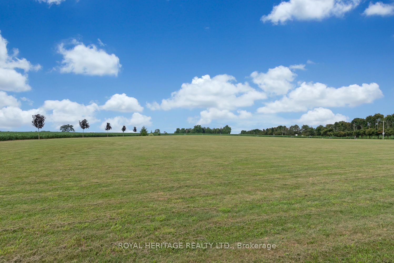 4895 Concession 3 Rd Property Photo 14