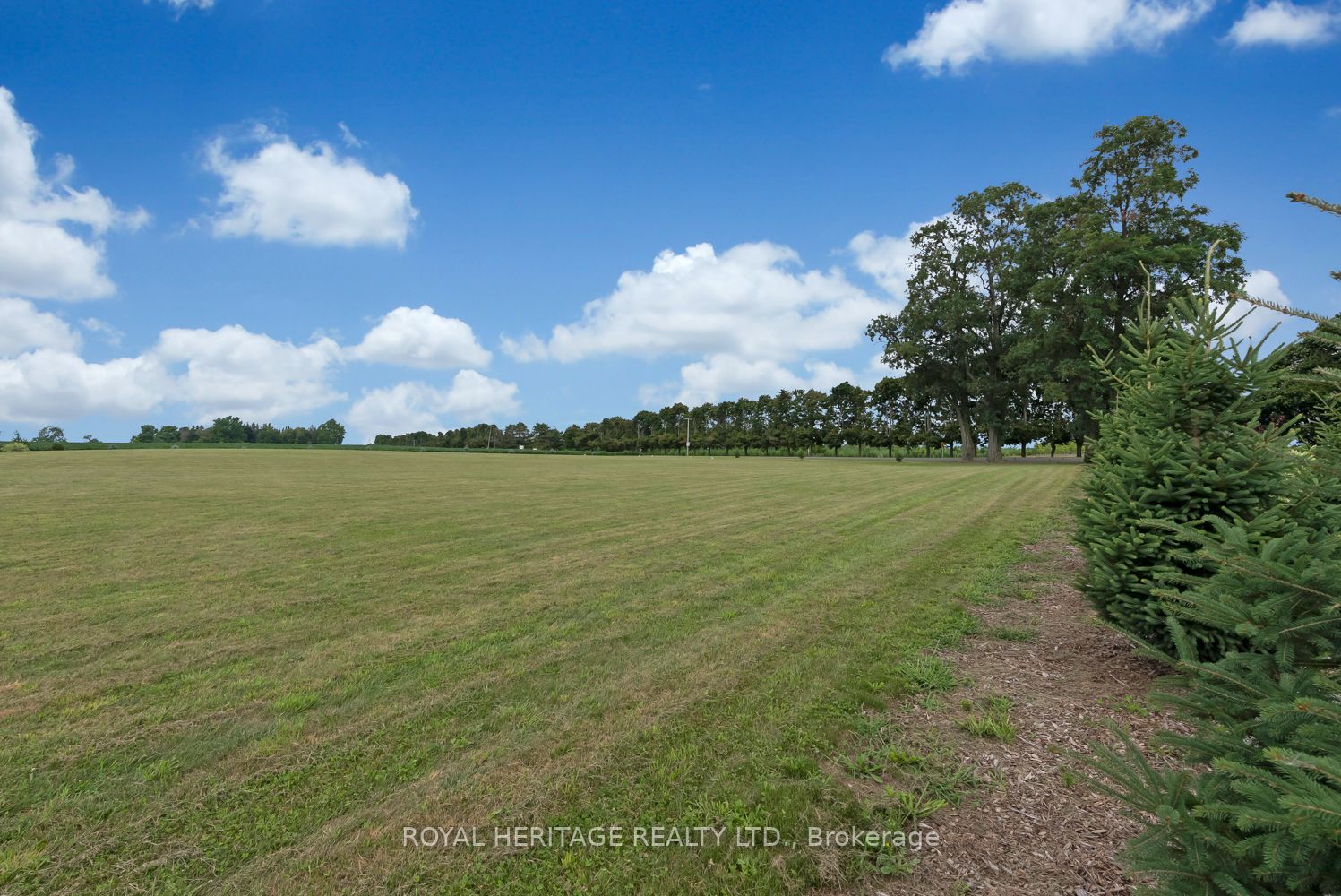 4895 Concession 3 Rd Property Photo 15
