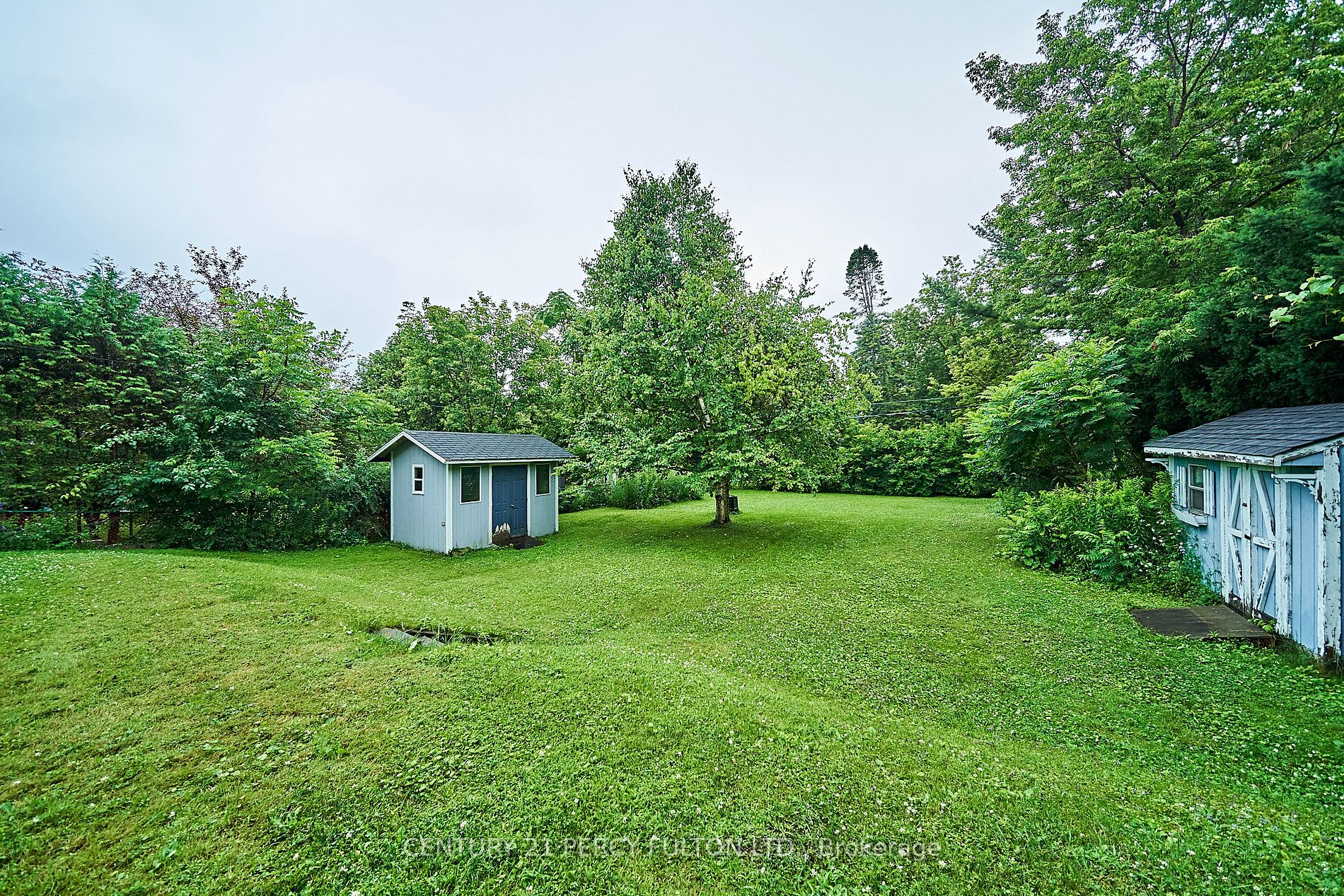 8 Scarborough Golf Club Rd Property Photo 7
