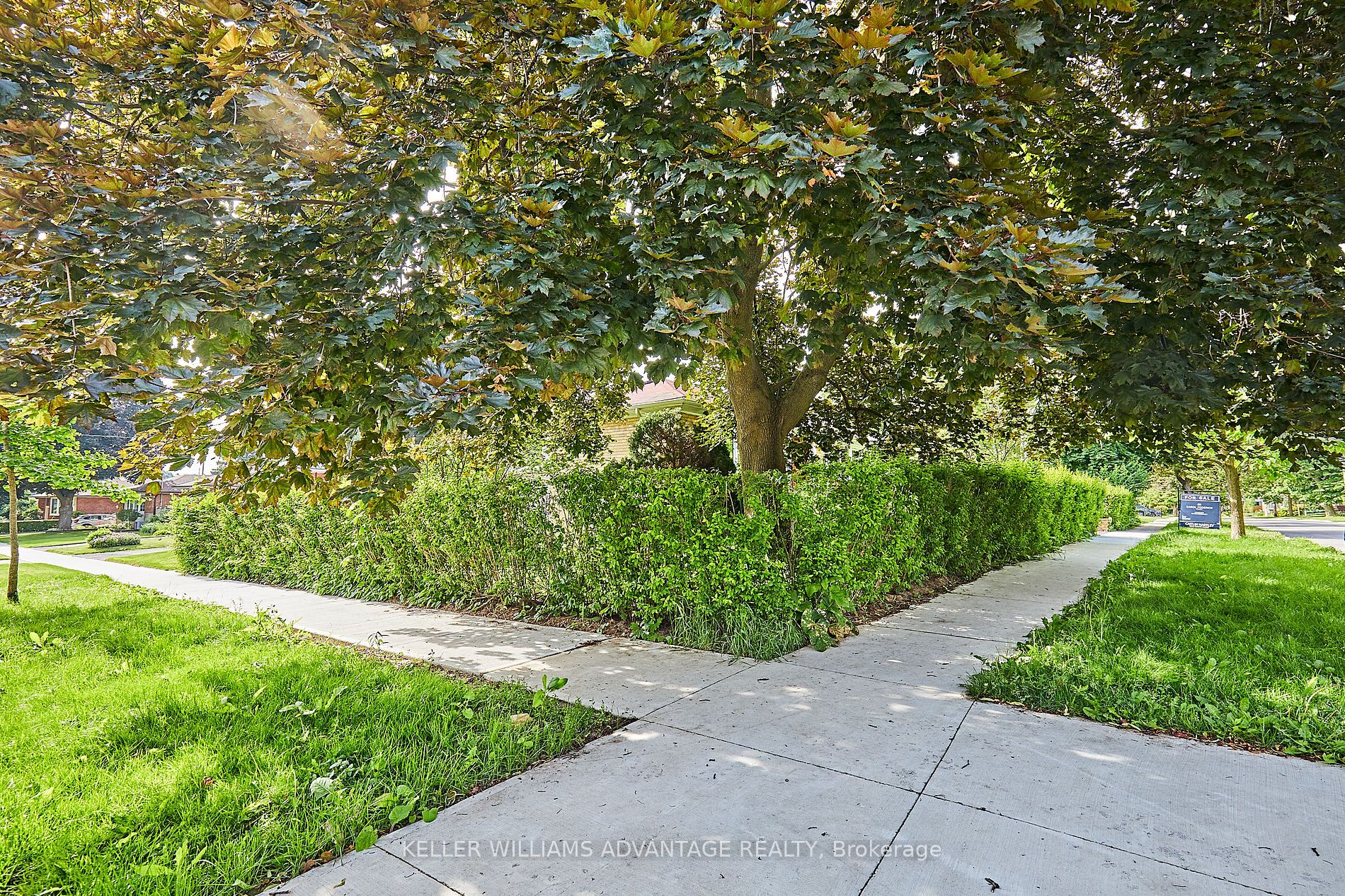 55 Rowatson Rd Property Photo 26