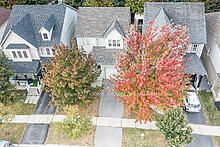 2331 Winlord Pl Property Photo 1