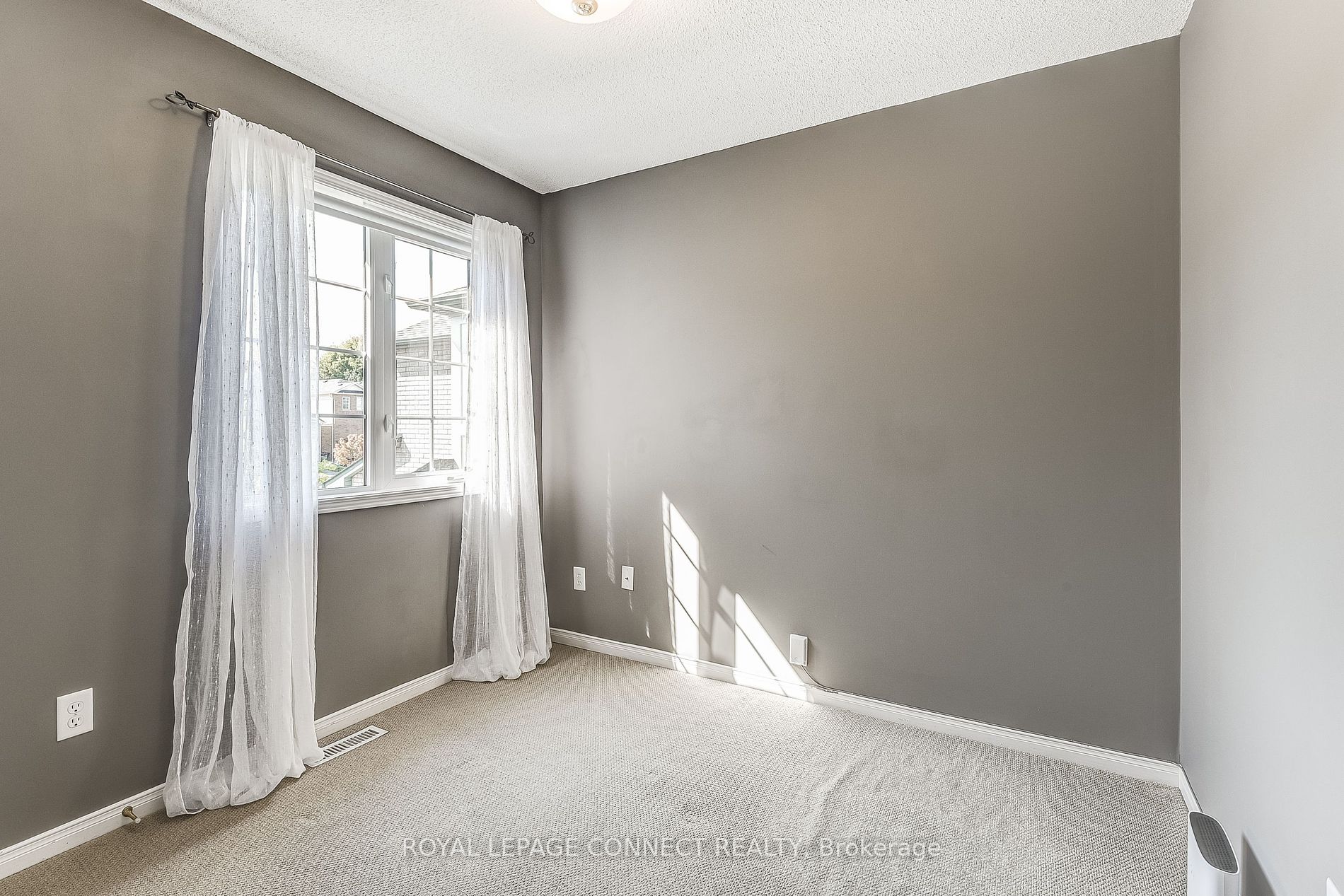 29 Andona Cres Property Photo 14