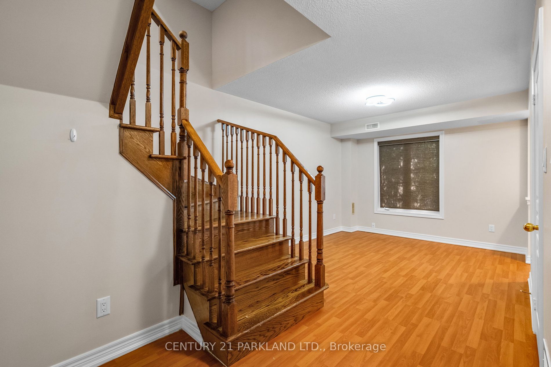 9 Smithy Crt Property Photo 16
