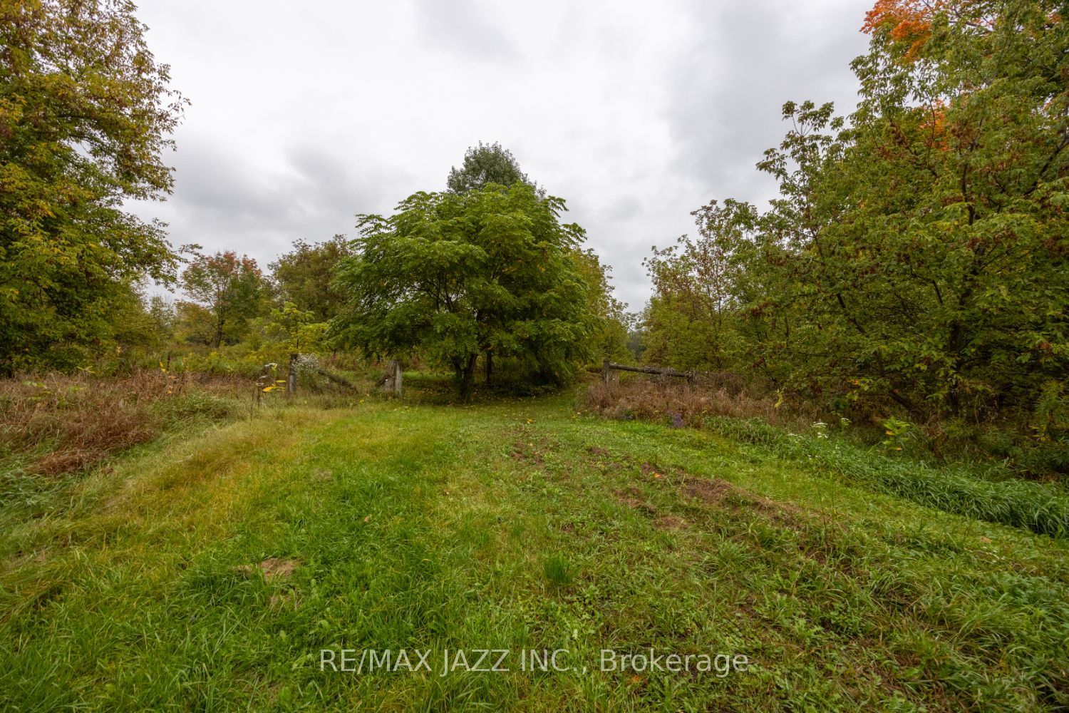 3467 Pollard Rd Property Photo 30
