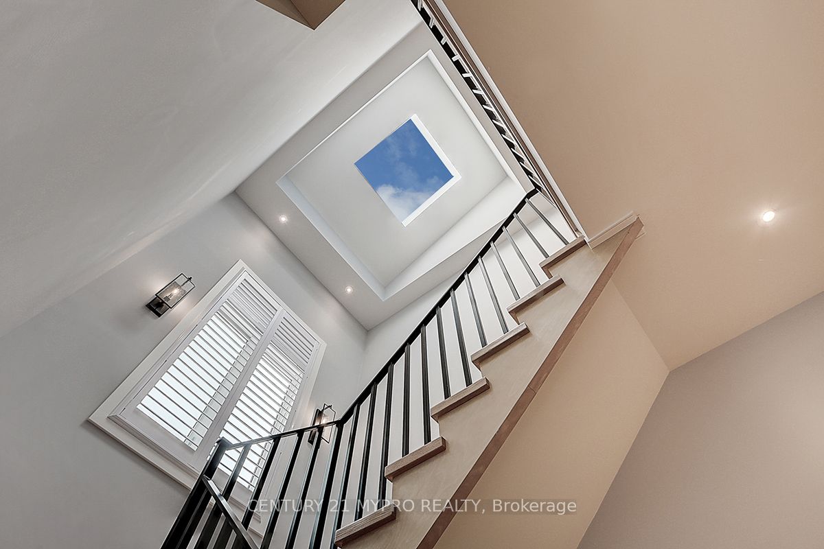49 Walmer Road Property Photo 18