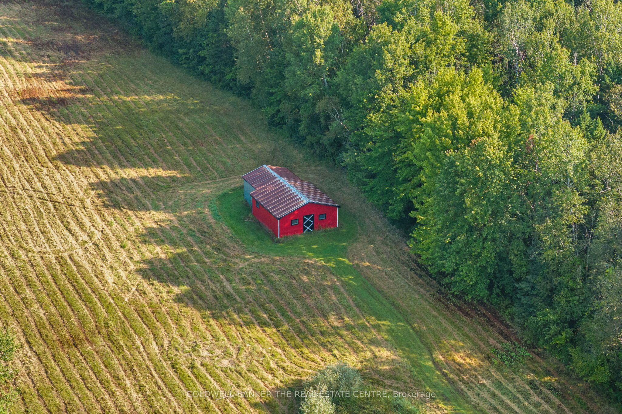1705 Concession 8 Road Property Photo 42
