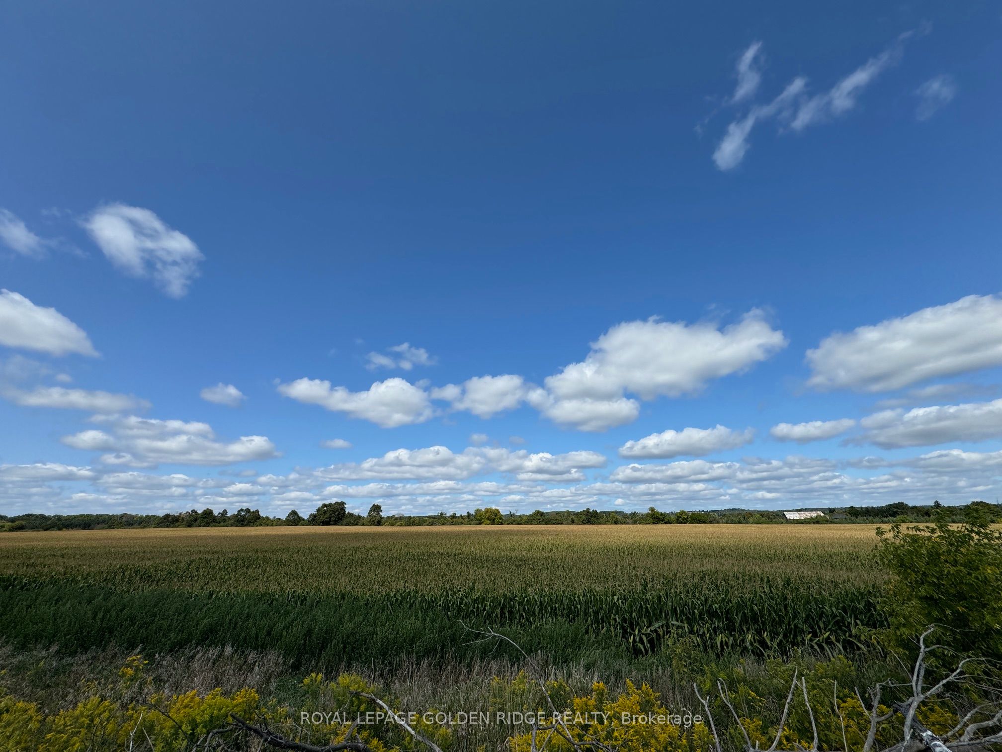 3658 Stouffville Road Property Photo 16
