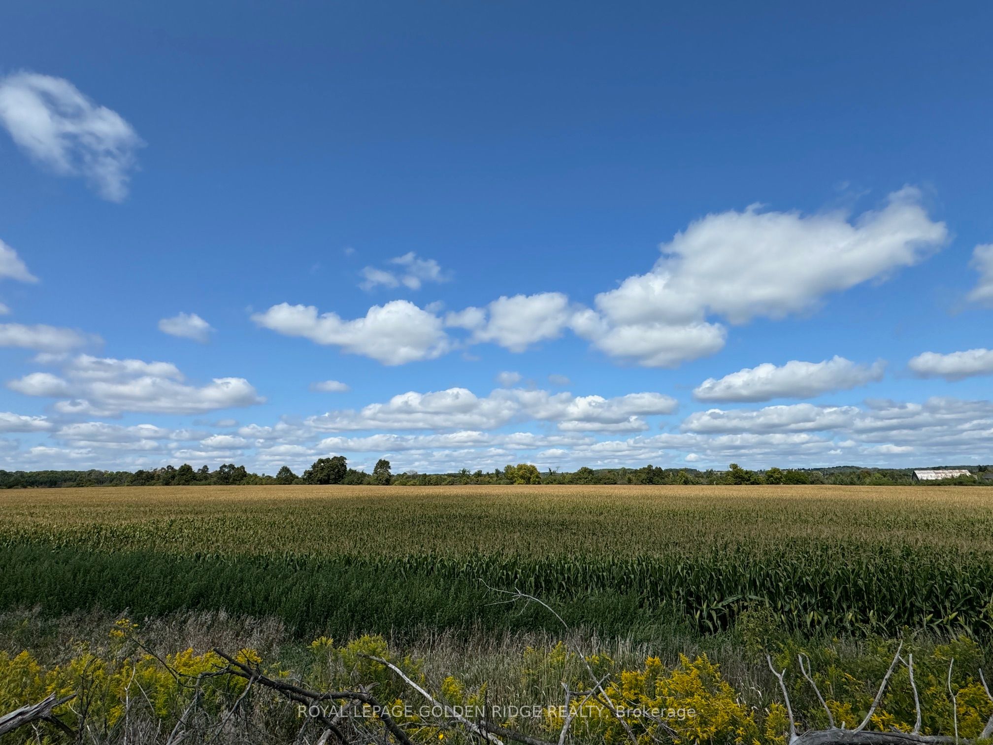 3658 Stouffville Road Property Photo 17