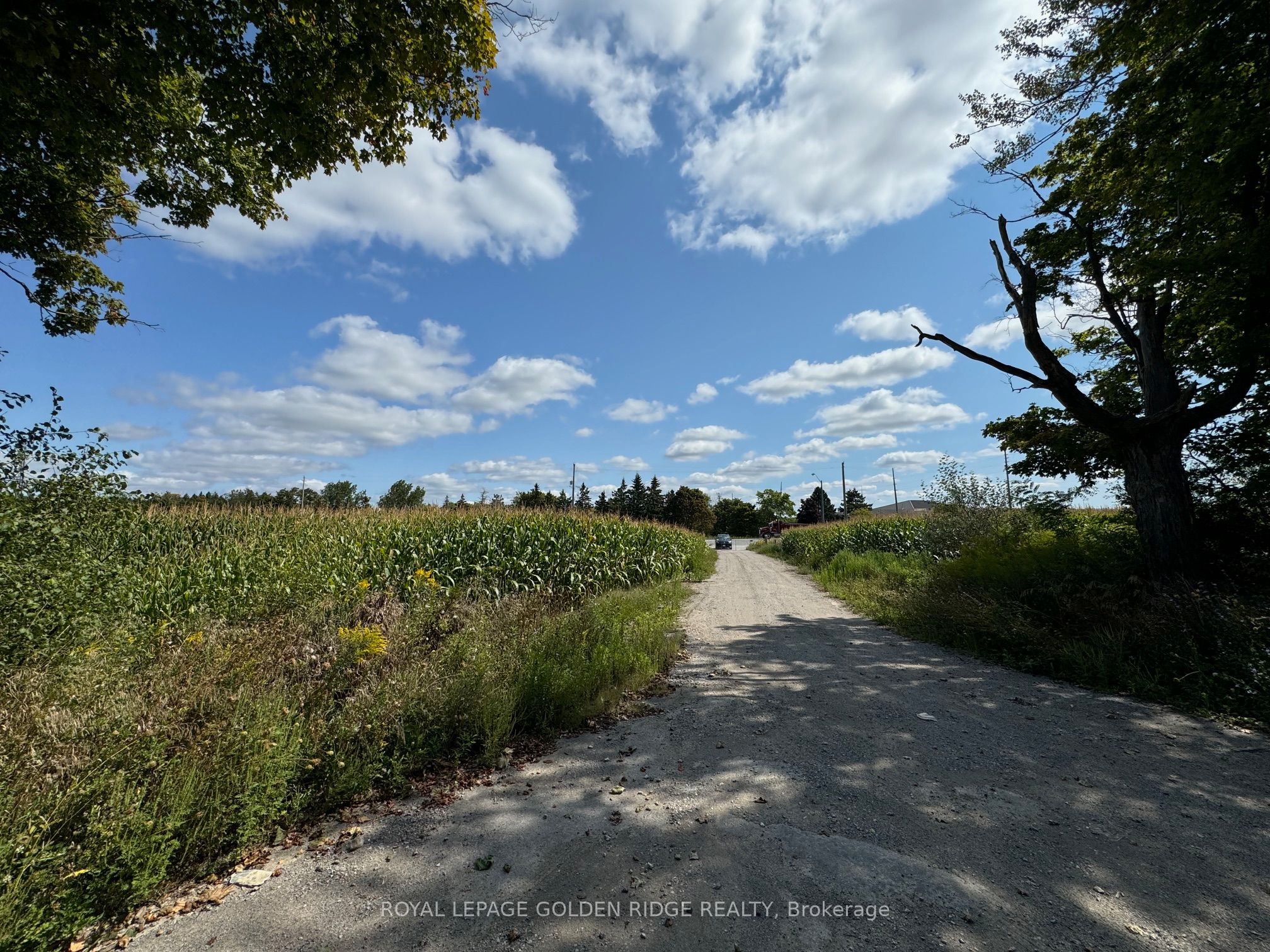 3658 Stouffville Road Property Photo 19
