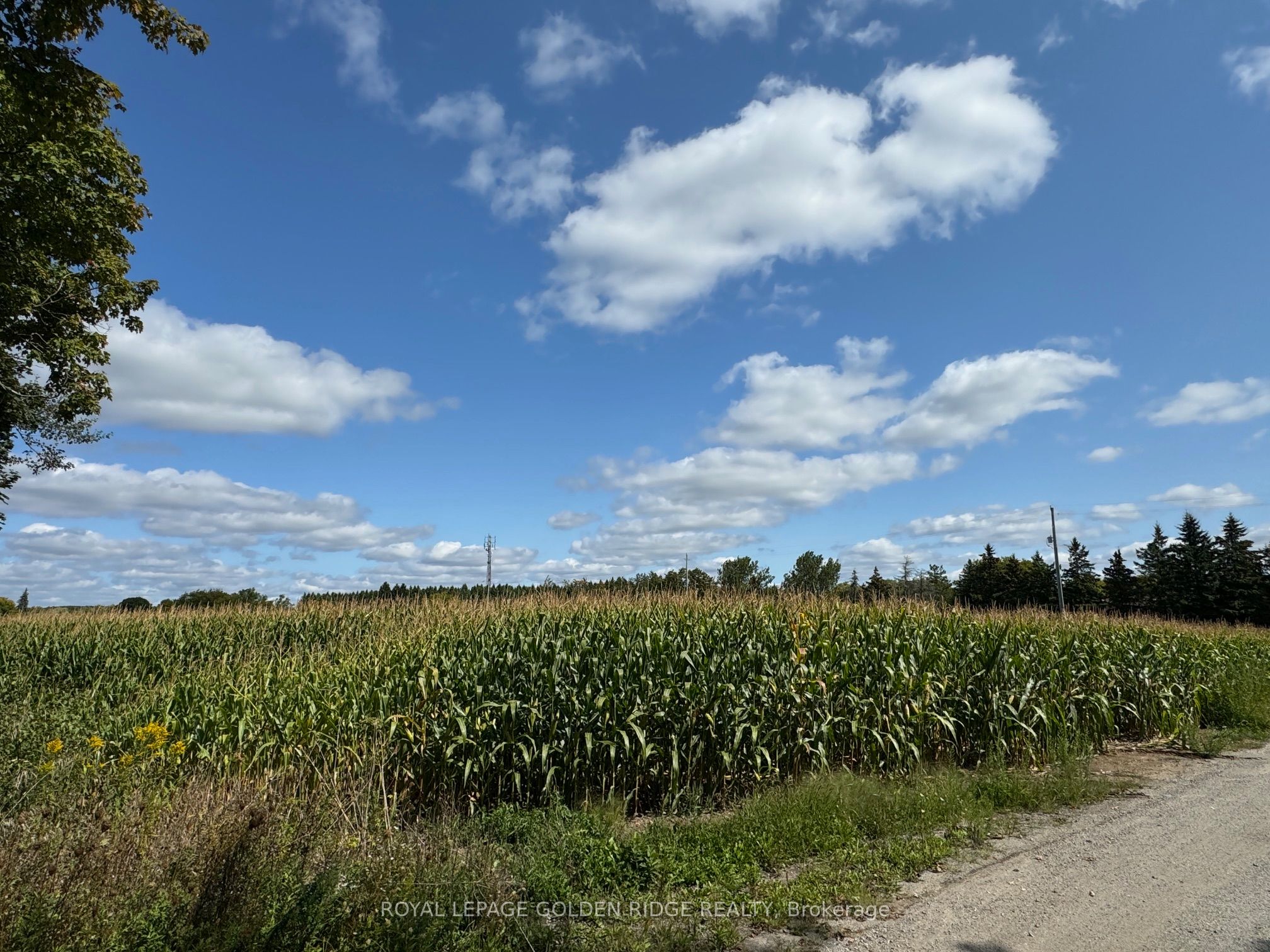 3658 Stouffville Road Property Photo 20