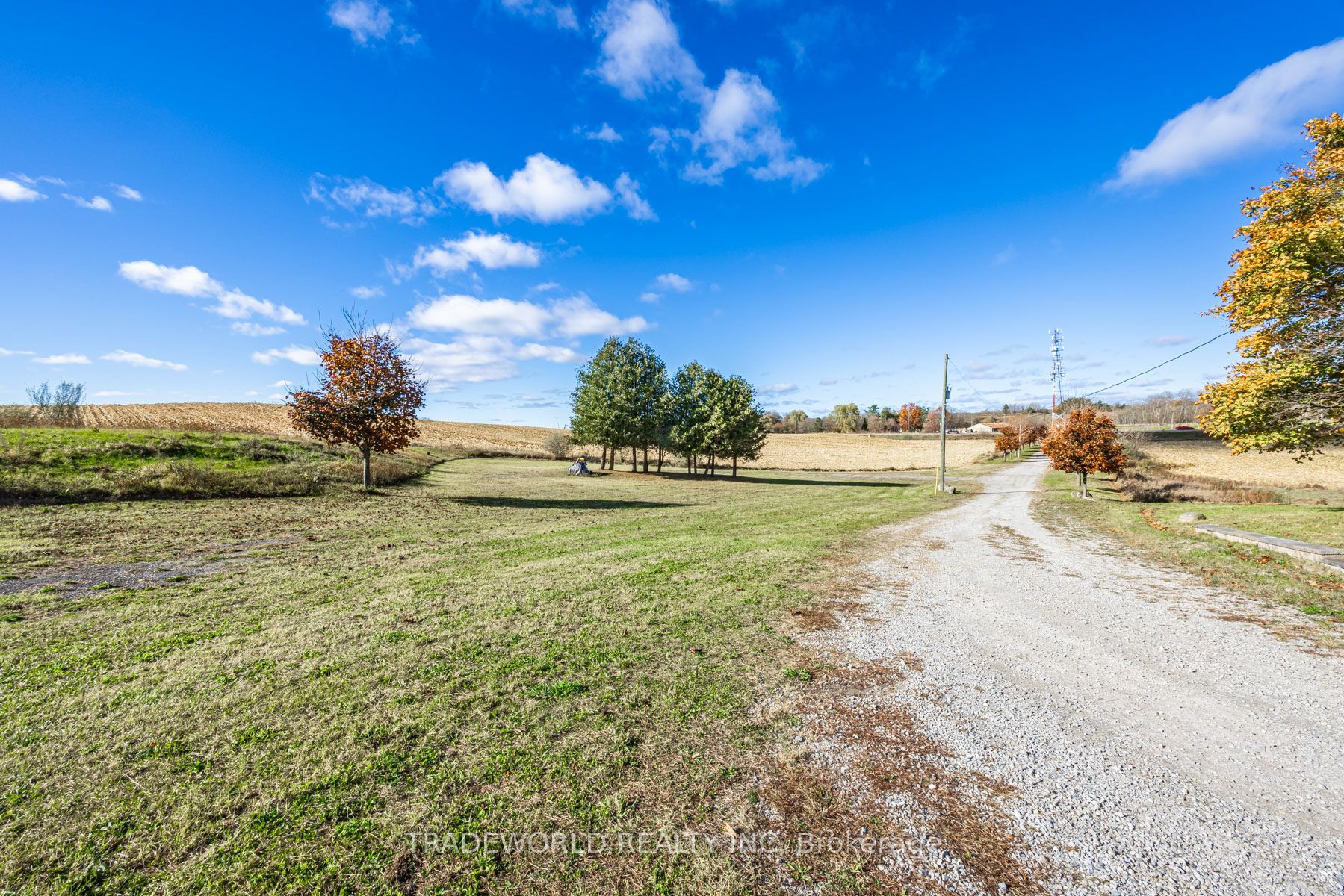 8805 Highway 9 Property Photo 47