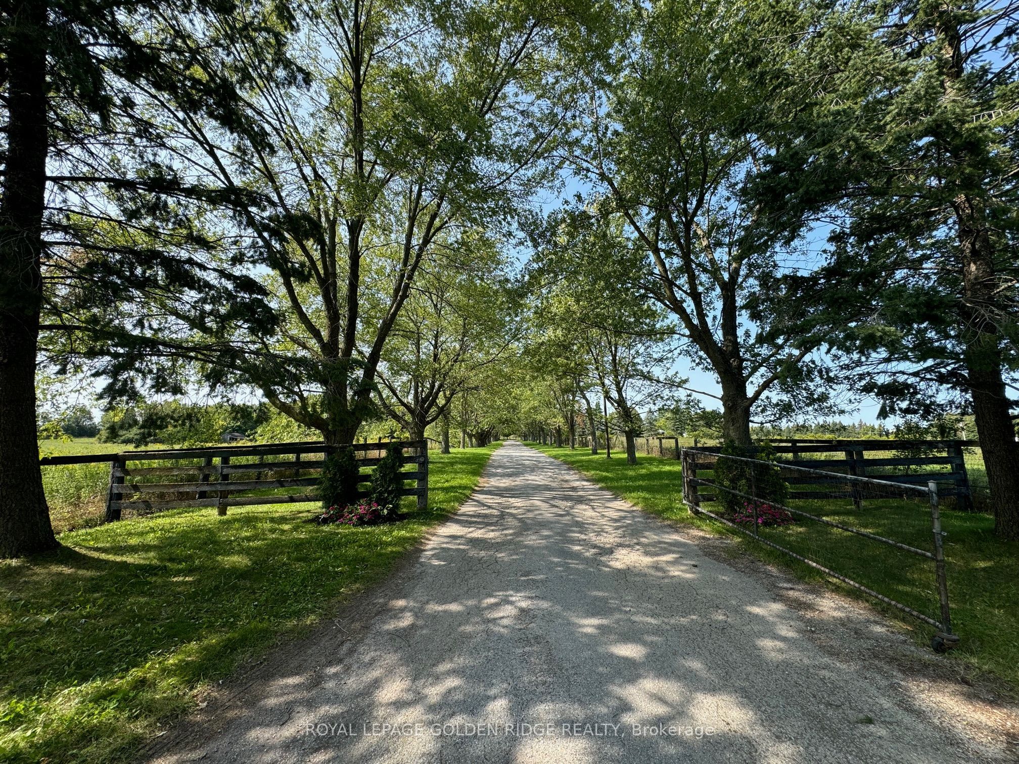 13682 Warden Avenue Property Photo