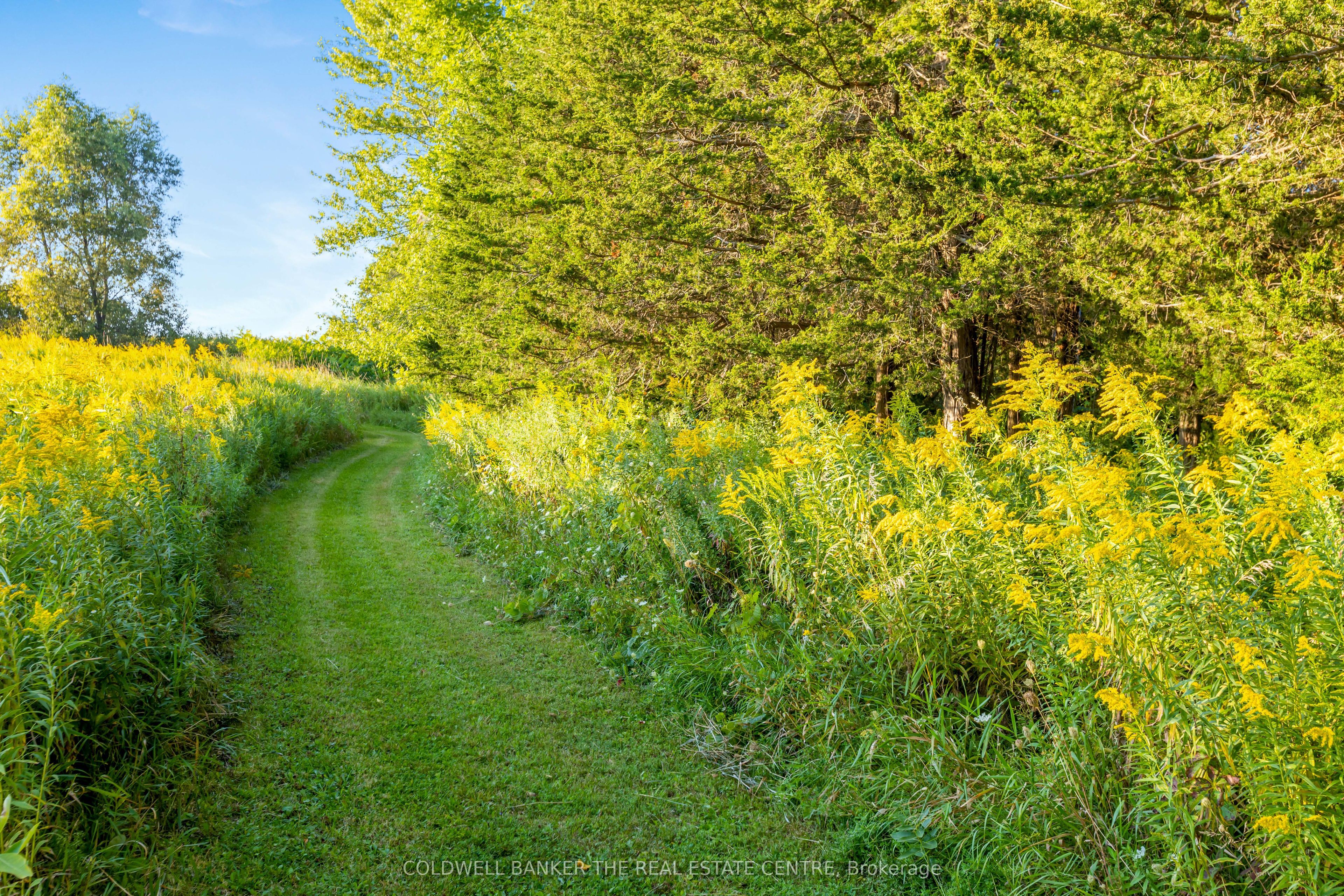 610 Morning Sideroad Property Photo 37