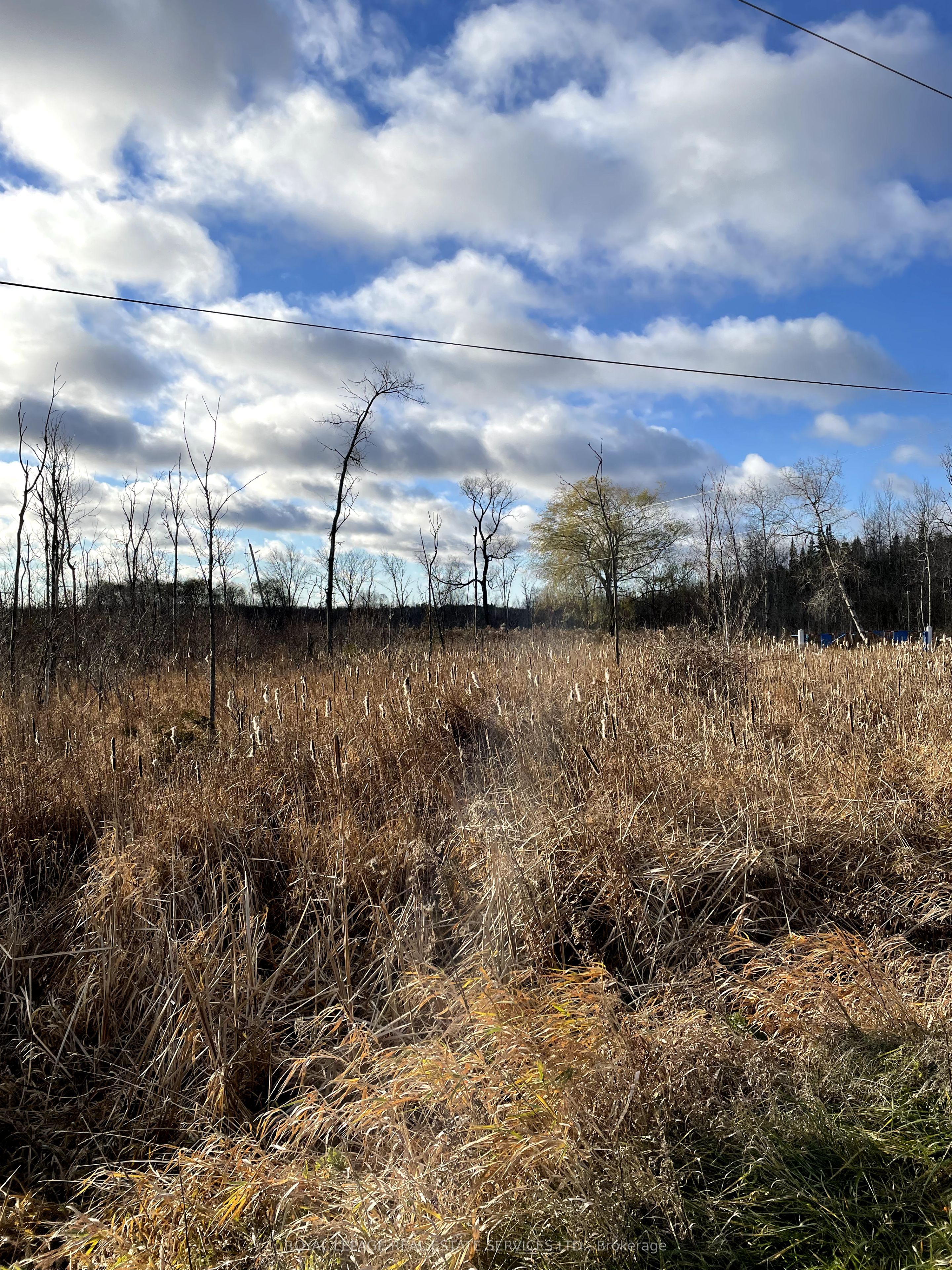 Ptlt 35 Concession 2 Sideroad Property Photo 1