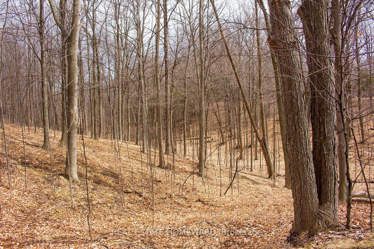 3005 Concession Road 4 Property Photo 1