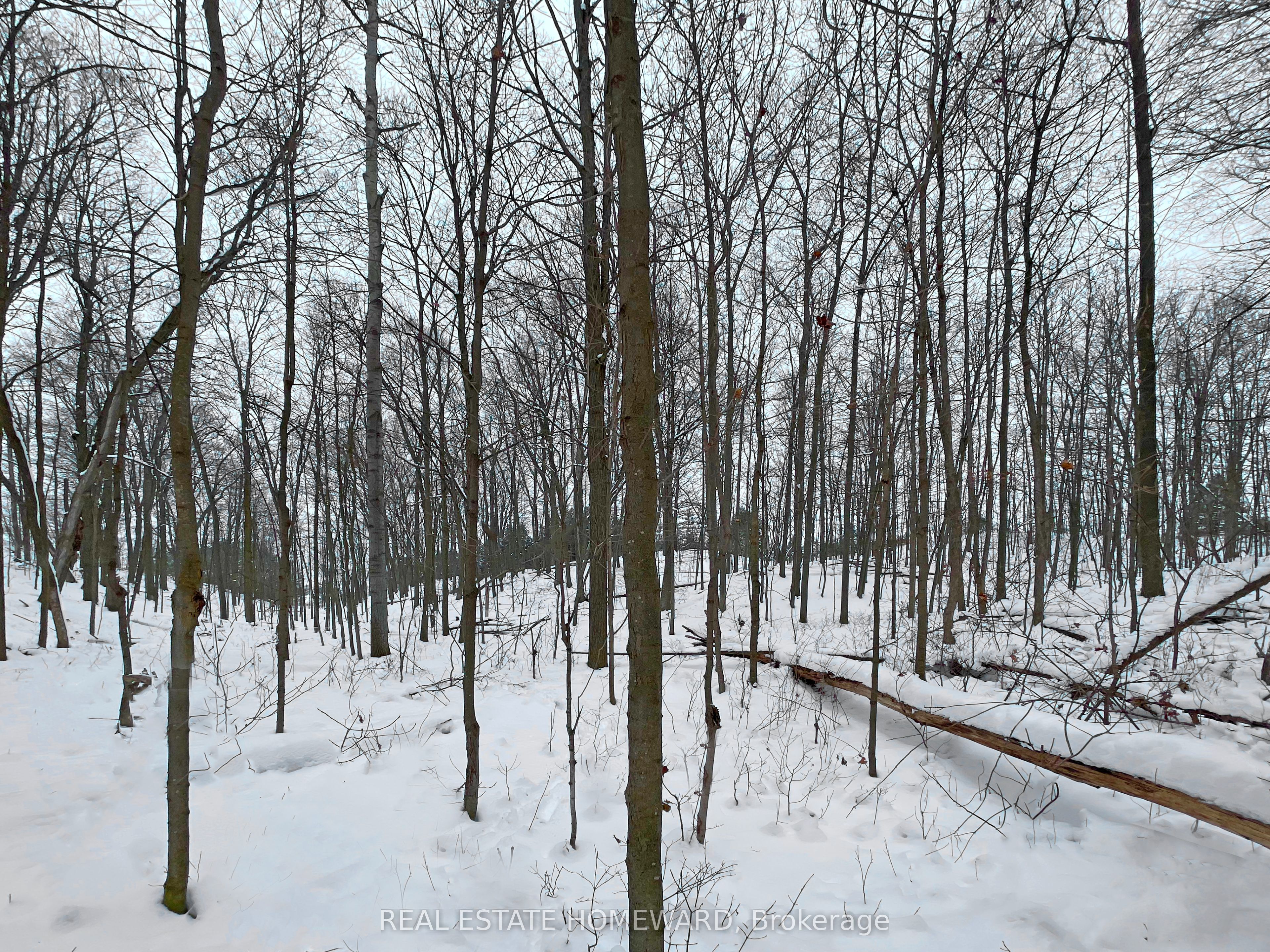 3005 Concession Road 4 Property Photo 12