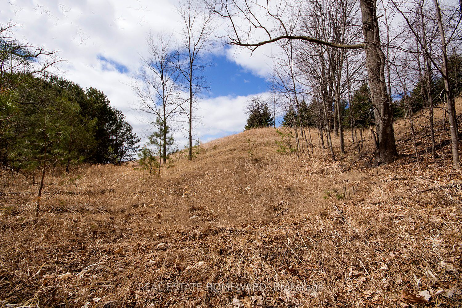 3005 Concession Road 4 Property Photo 13
