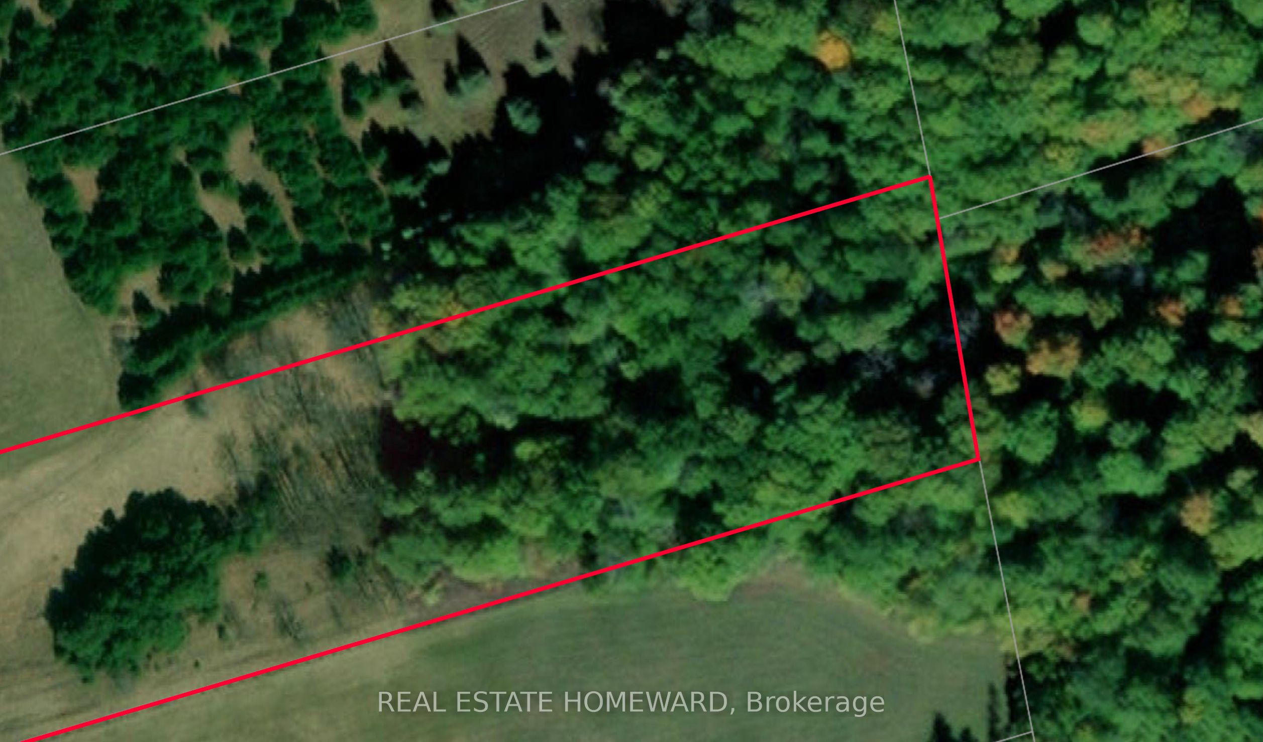 3005 Concession Road 4 Property Photo 14