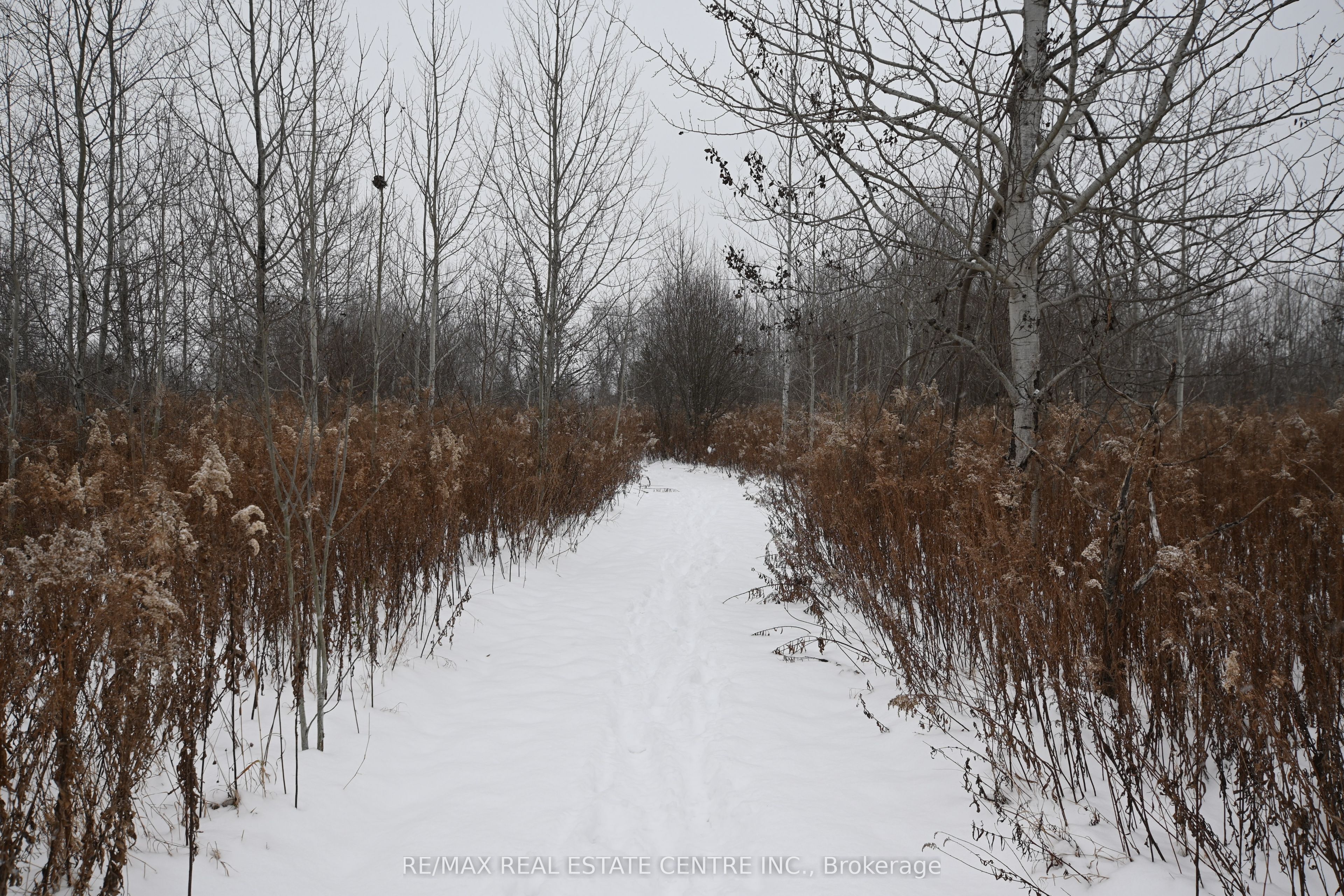 5892 Old Mill Road Property Photo 2