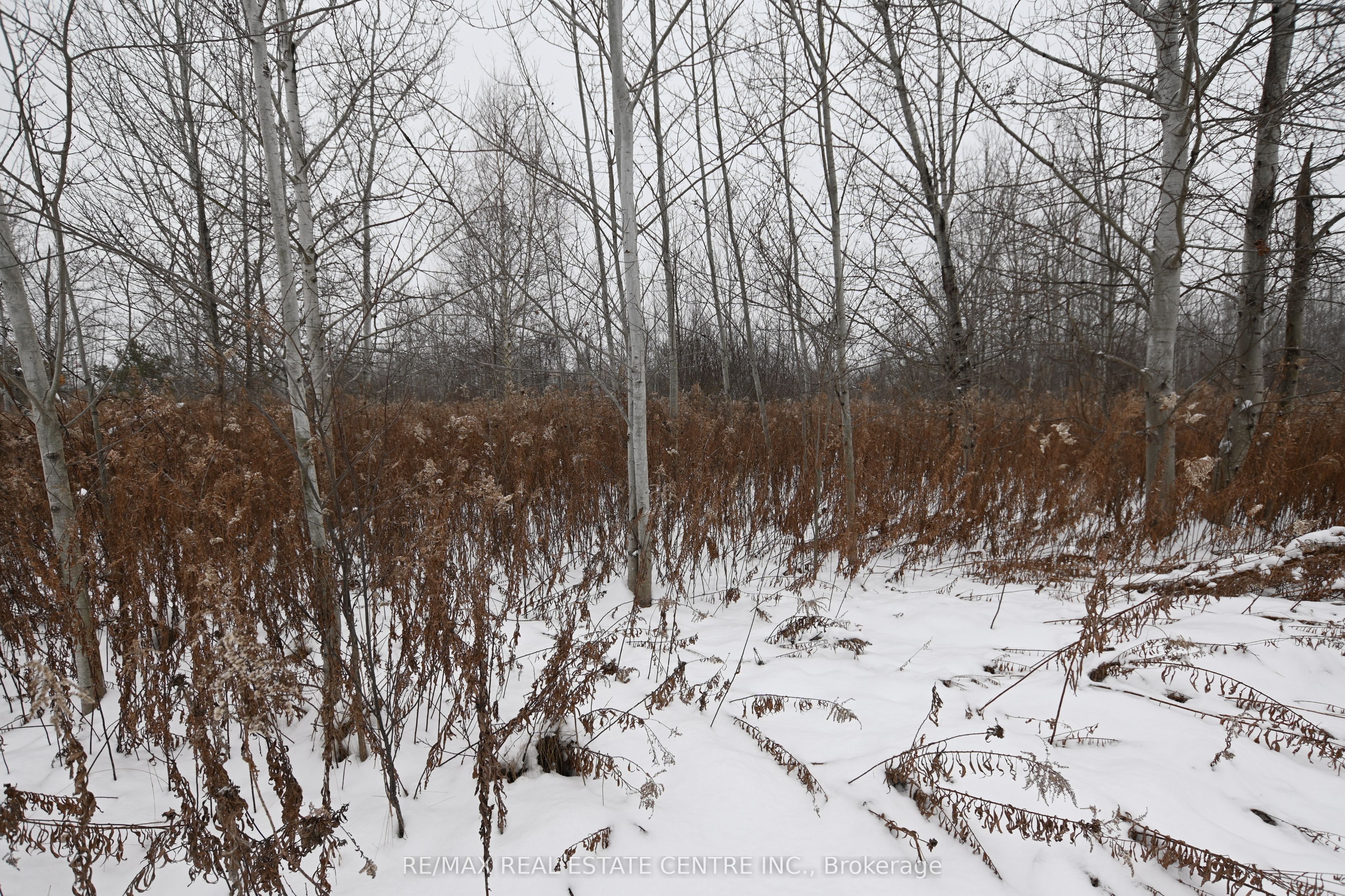 5892 Old Mill Road Property Photo 4