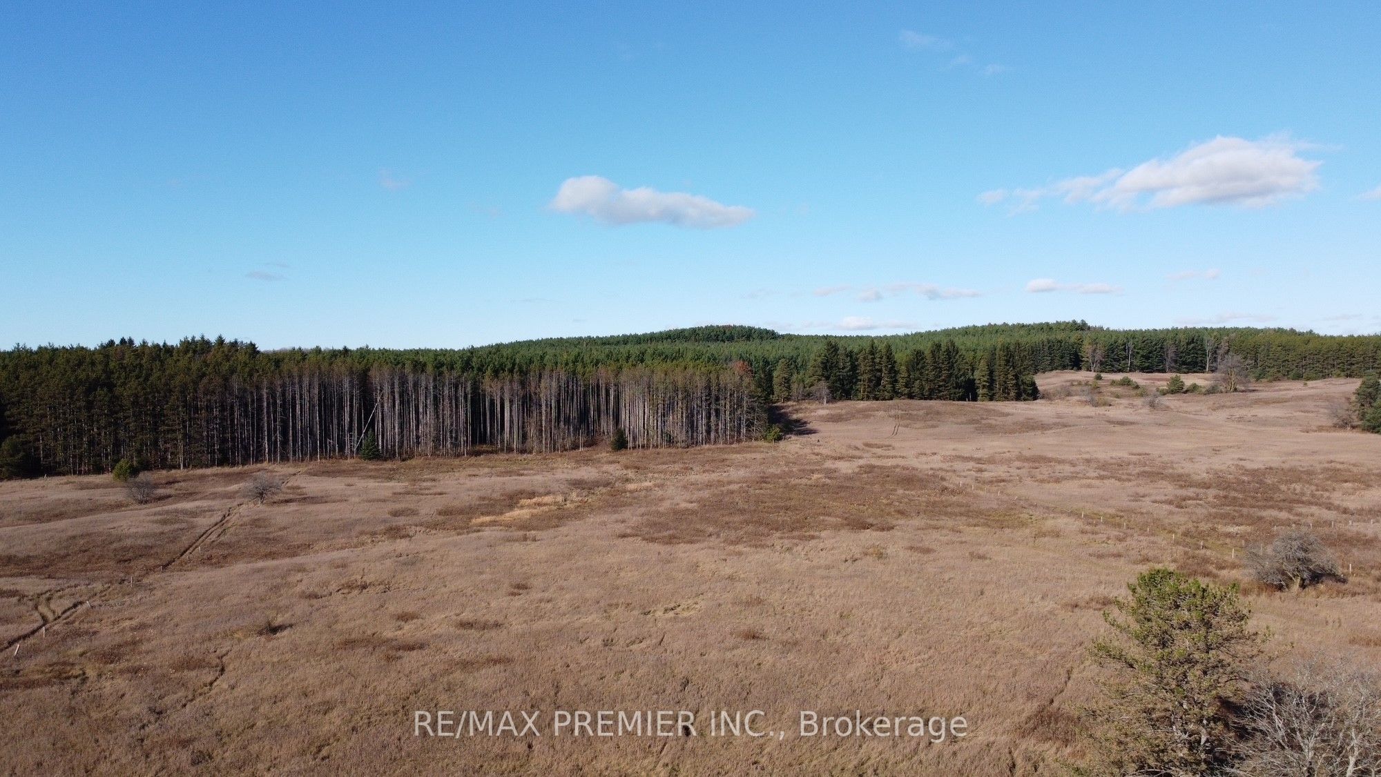 9792 Highway 9 Property Photo 2